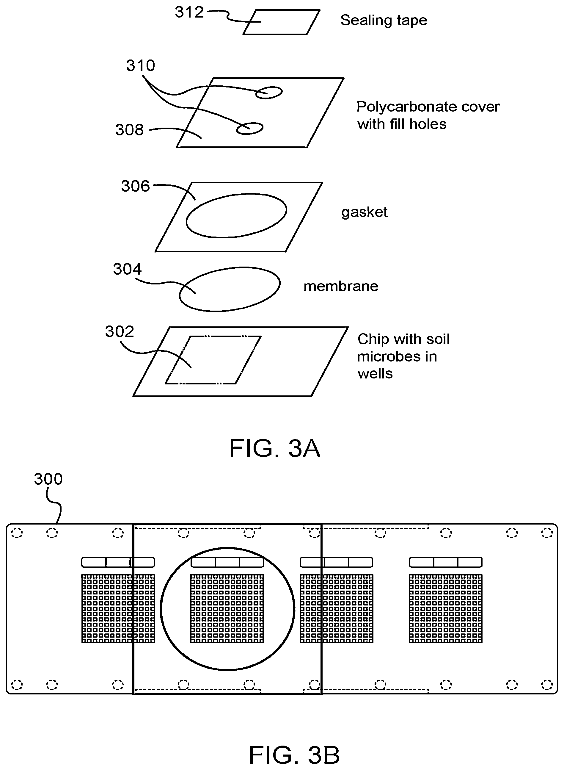 Patent US12590303 Figure 3 – Screening of fluorescent microbes using microfabricated device