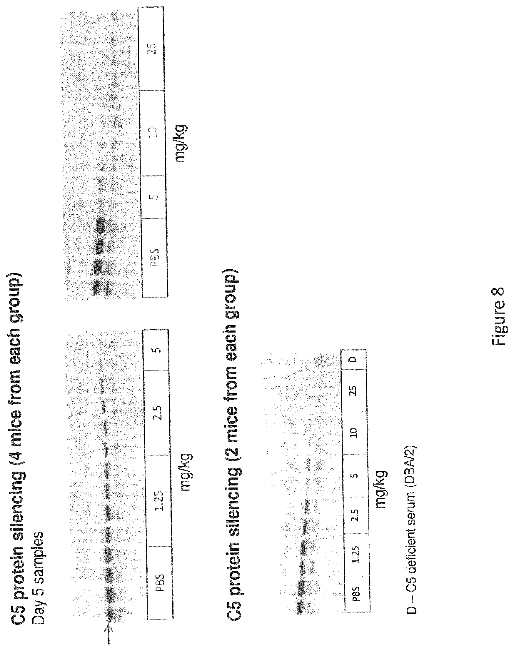 Patent US12590305 Figure 8 – Complement component C5 iRNA compositions and methods of use thereof