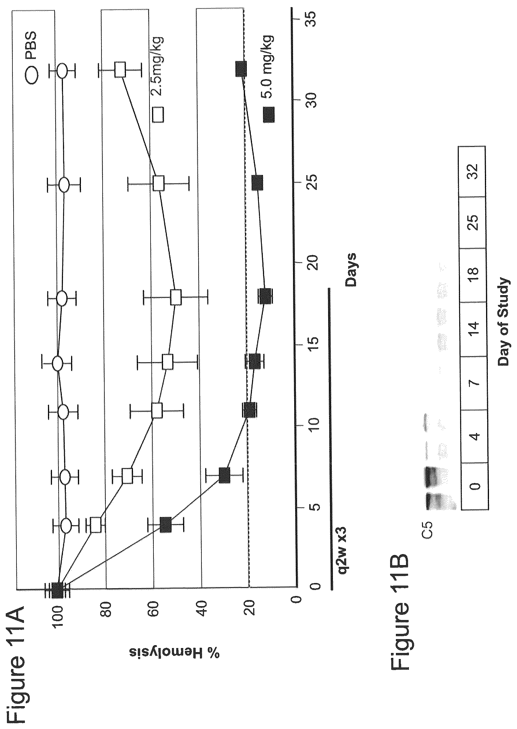 Patent US12590305 Figure 11 – Complement component C5 iRNA compositions and methods of use thereof