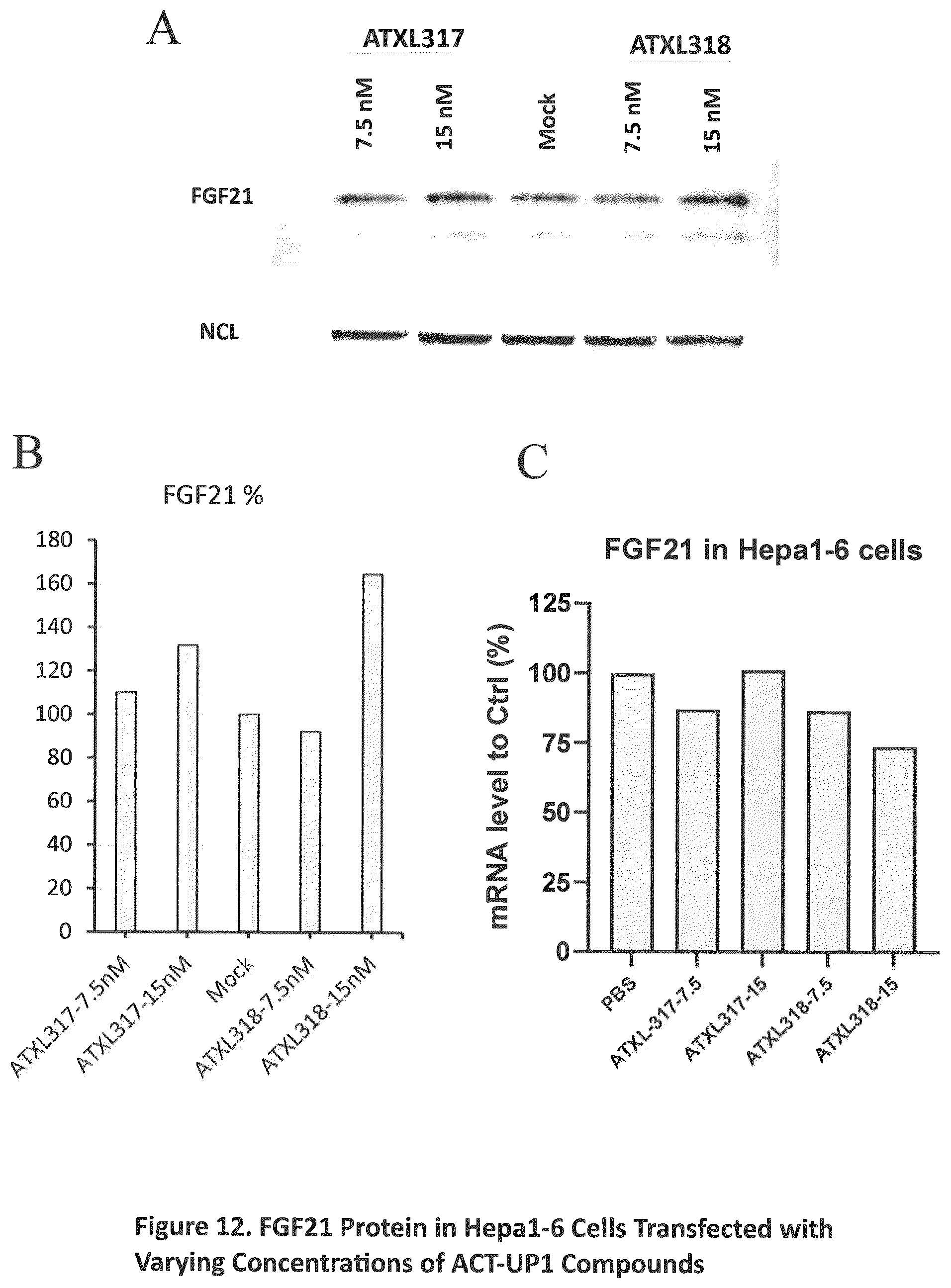 Patent US12590307 Figure 12 – Translation enhancing nucleic acid compounds: ASO coupled translation-upregulation 1 (ACT-UP1) and uses thereof