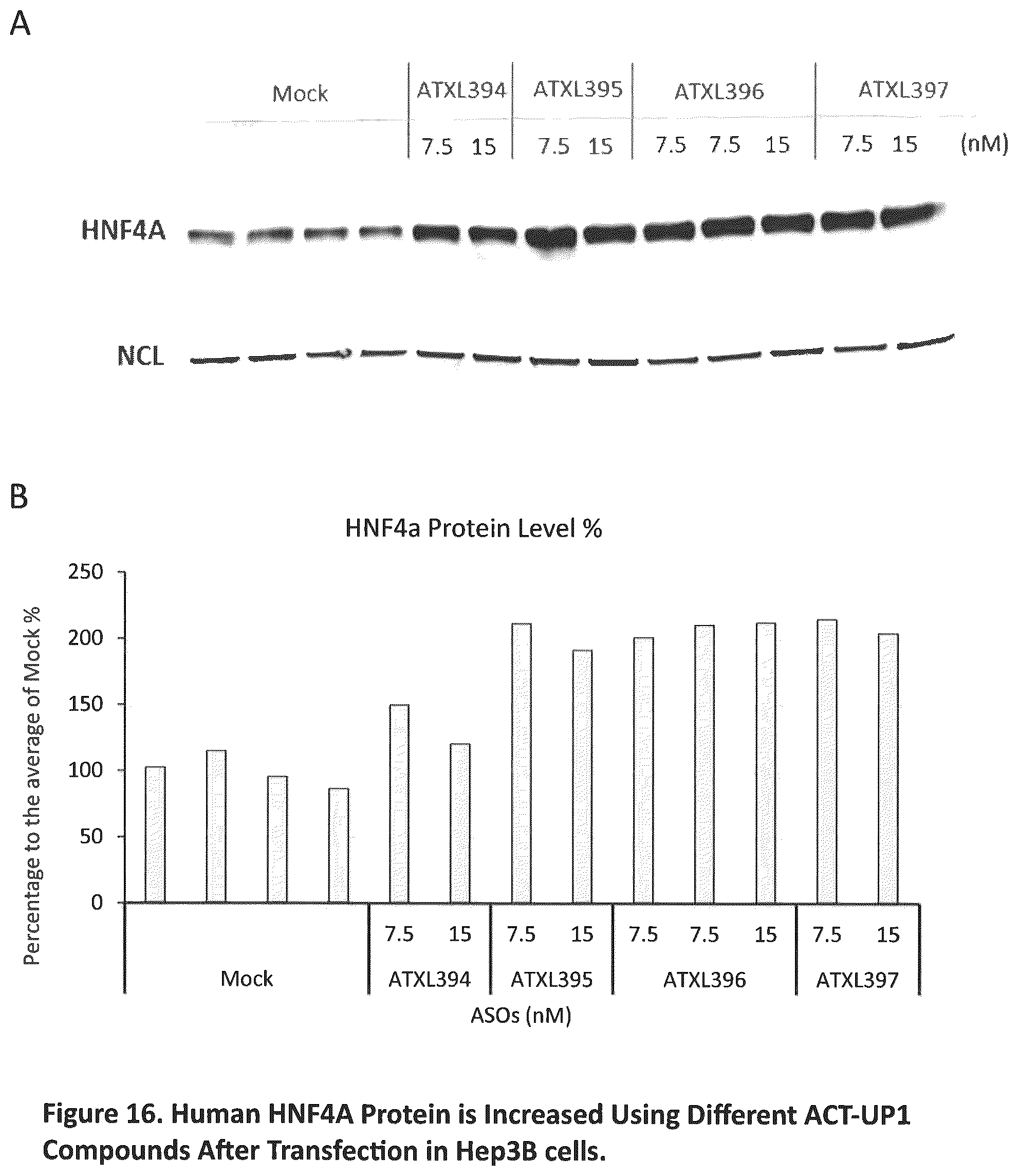 Patent US12590307 Figure 16 – Translation enhancing nucleic acid compounds: ASO coupled translation-upregulation 1 (ACT-UP1) and uses thereof