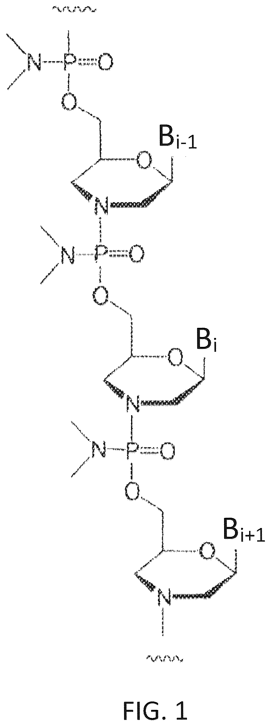 Patent US12590308 Figure 1 – Compositions and methods for suppressing intracellular synthesis of the beta subunit of human chorionic gonadotropin
