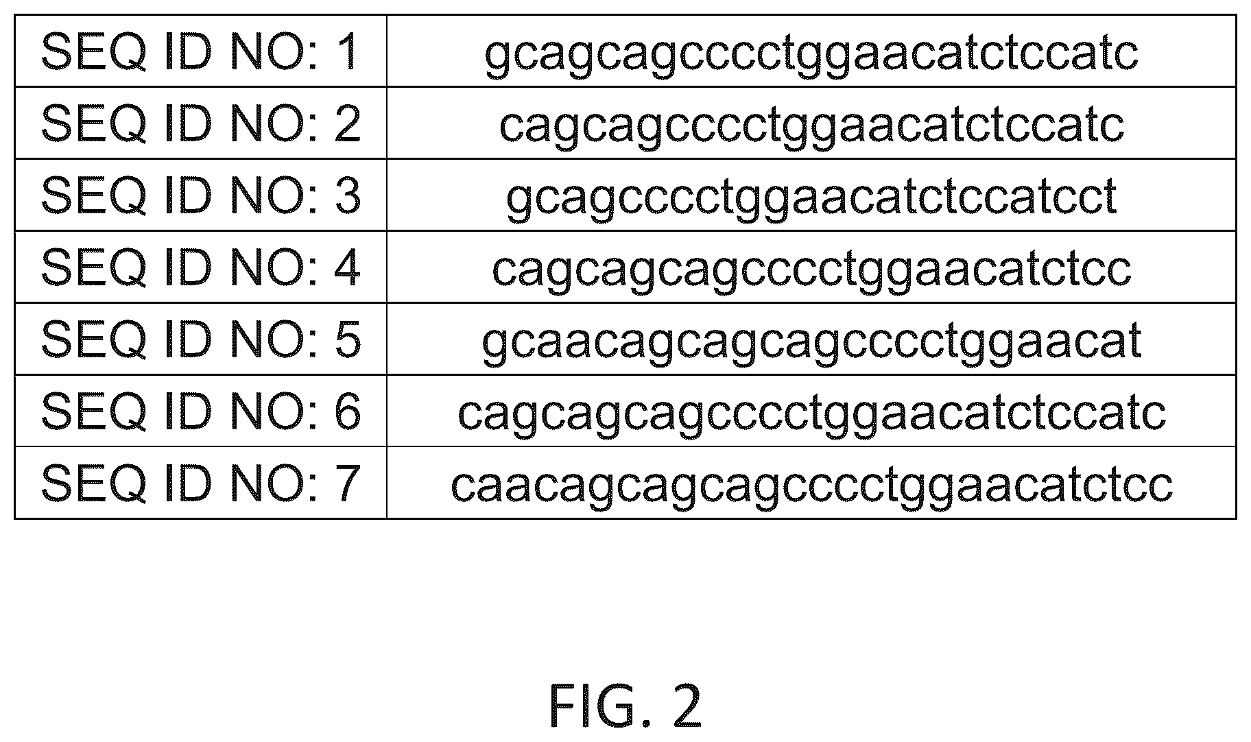 Patent US12590308 Figure 2 – Compositions and methods for suppressing intracellular synthesis of the beta subunit of human chorionic gonadotropin