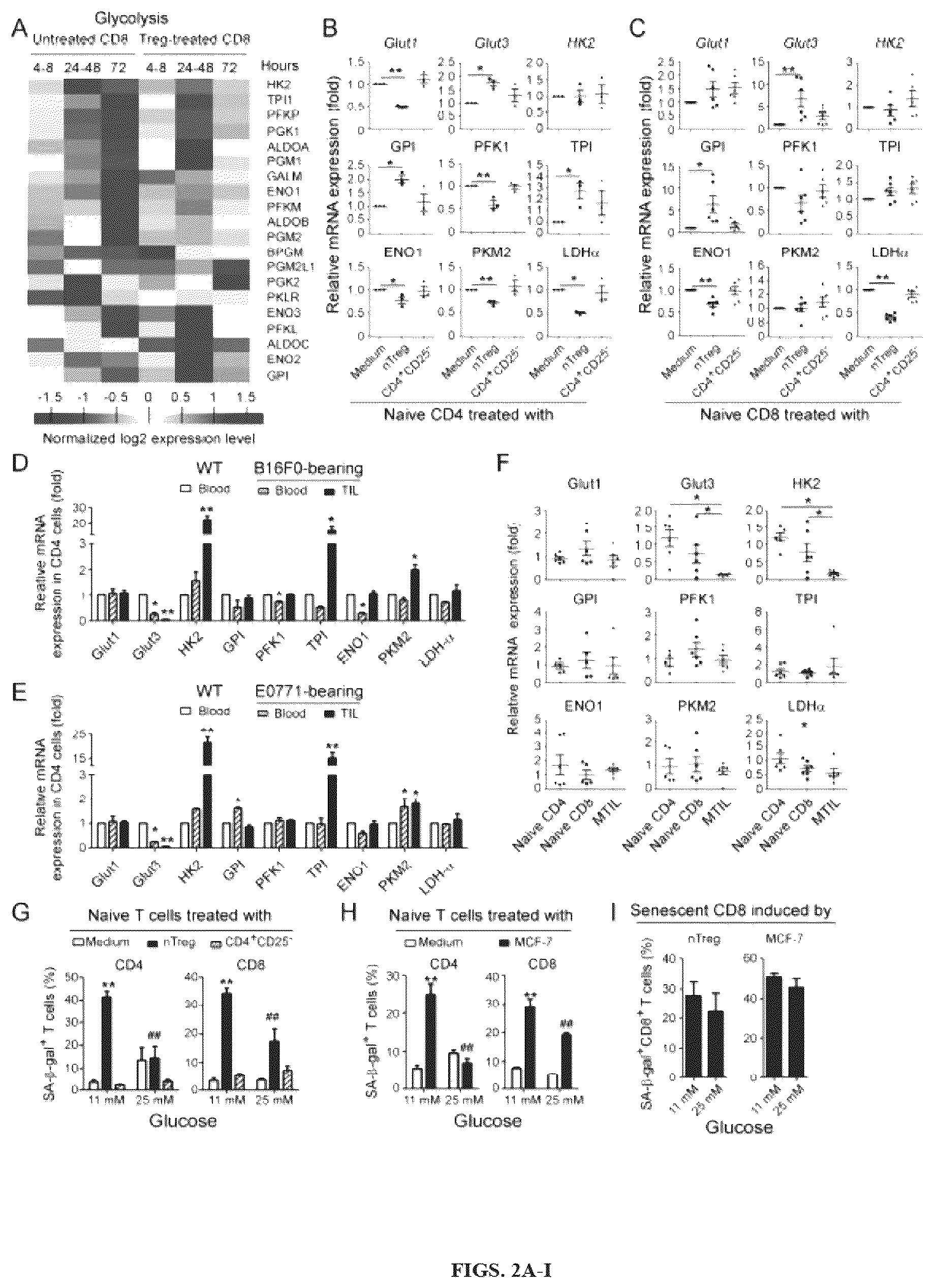Patent US12590309 Figure 2 – Reprogramming of lipid metabolism to inhibit T cell senescence and enhance tumor immunotherapy
