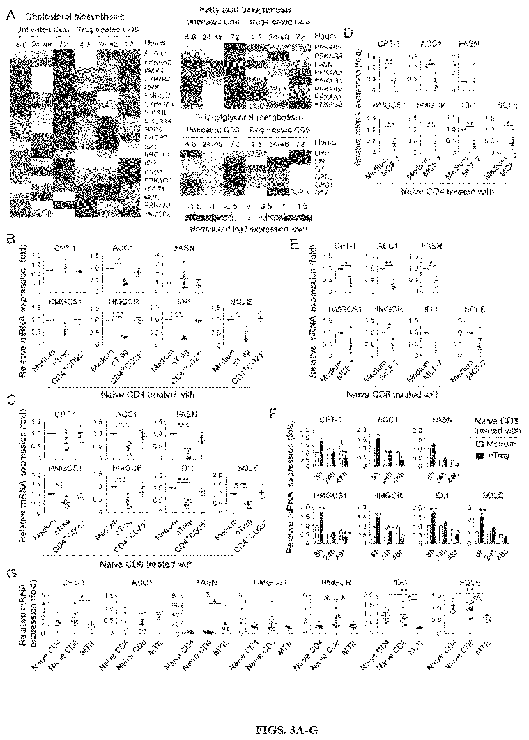 Patent US12590309 Figure 3 – Reprogramming of lipid metabolism to inhibit T cell senescence and enhance tumor immunotherapy