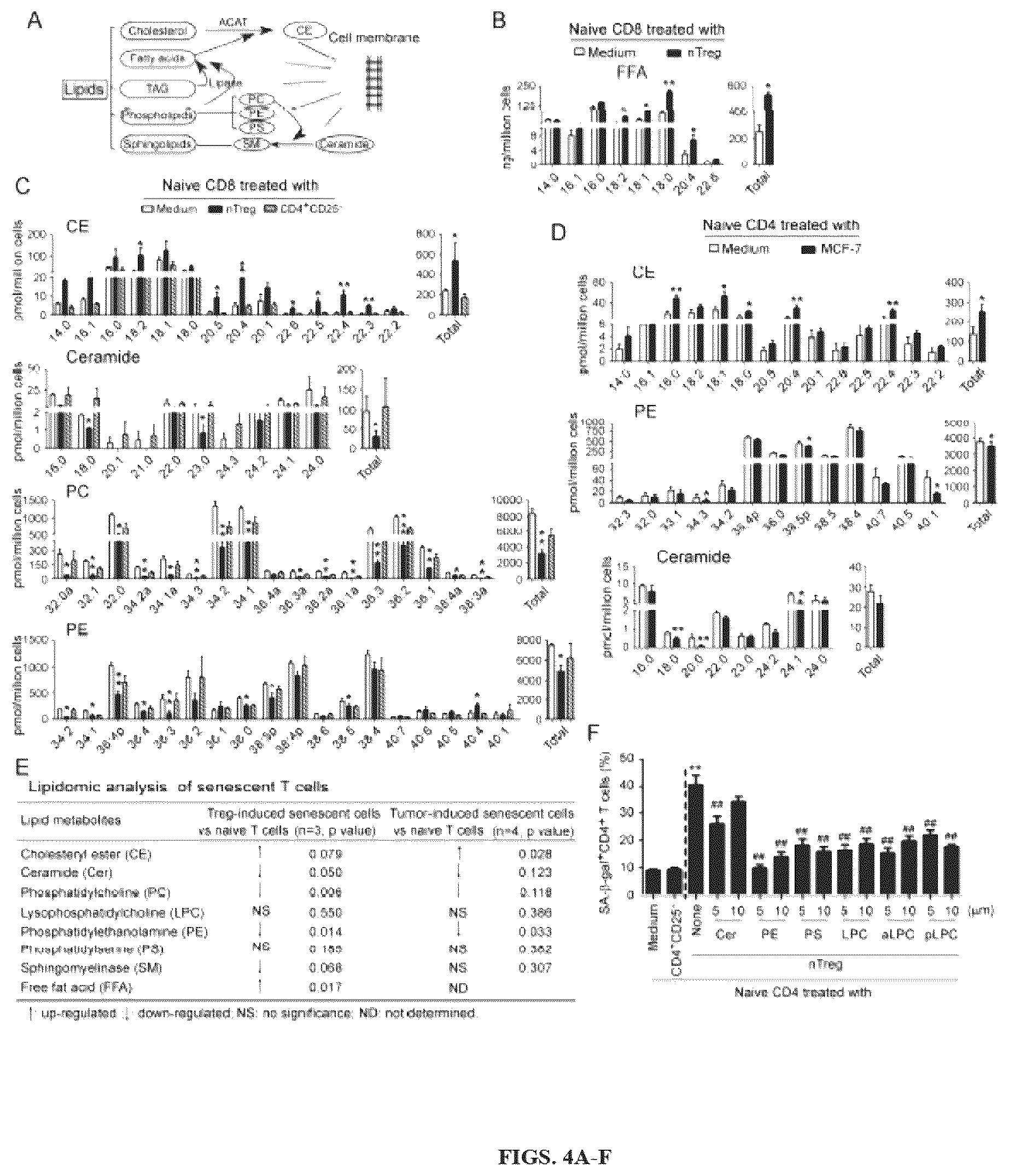 Patent US12590309 Figure 4 – Reprogramming of lipid metabolism to inhibit T cell senescence and enhance tumor immunotherapy