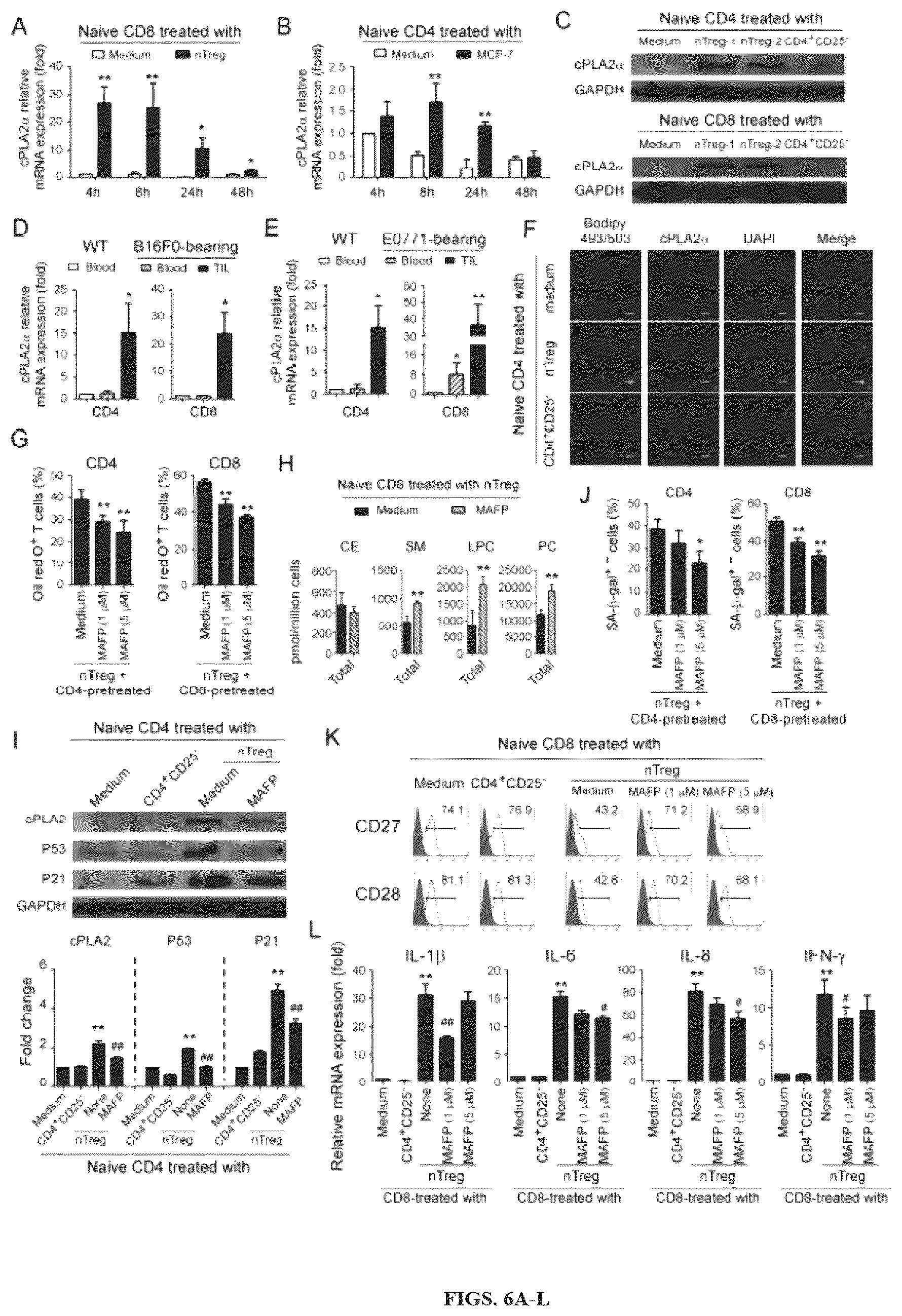 Patent US12590309 Figure 6 – Reprogramming of lipid metabolism to inhibit T cell senescence and enhance tumor immunotherapy