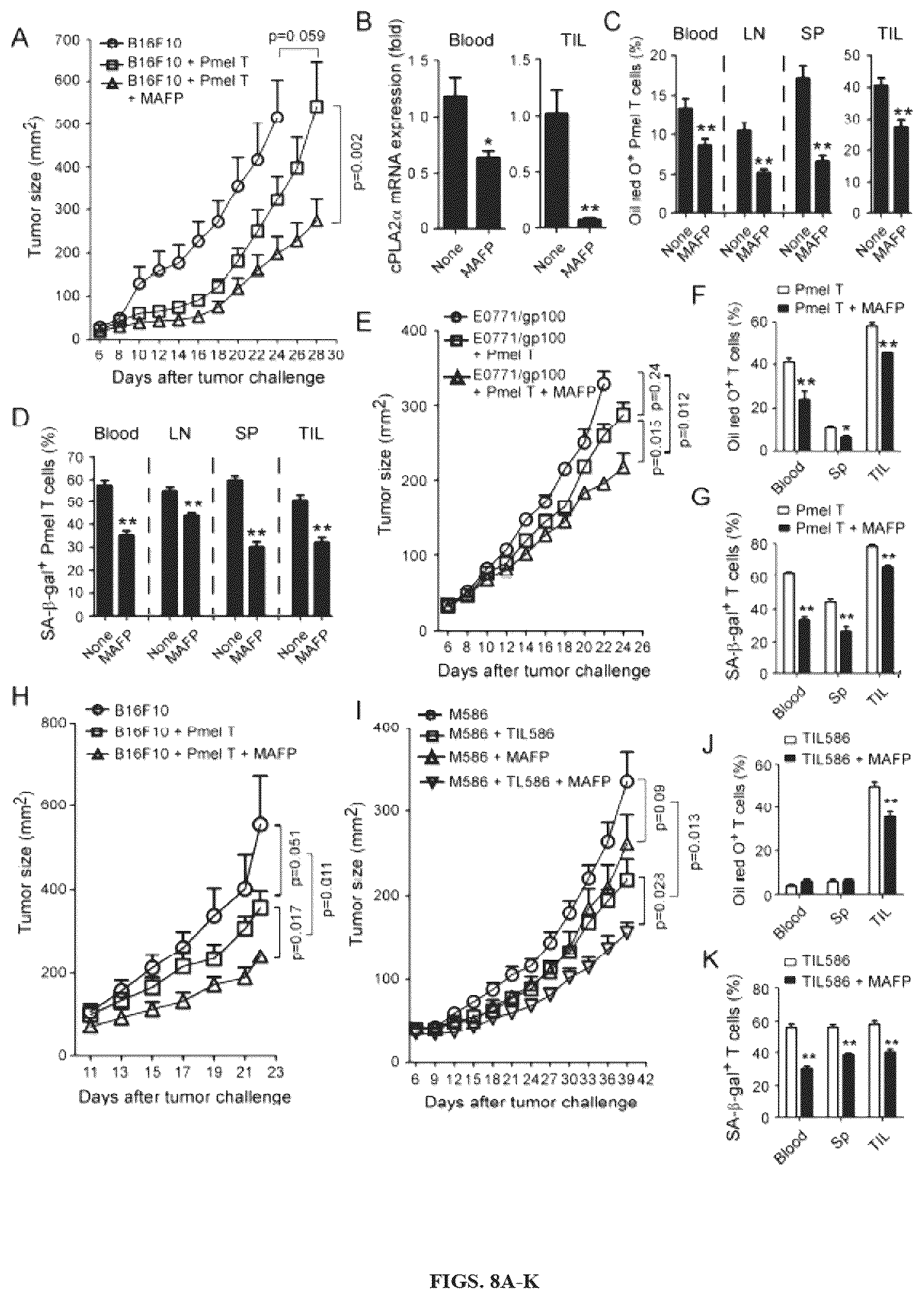 Patent US12590309 Figure 8 – Reprogramming of lipid metabolism to inhibit T cell senescence and enhance tumor immunotherapy
