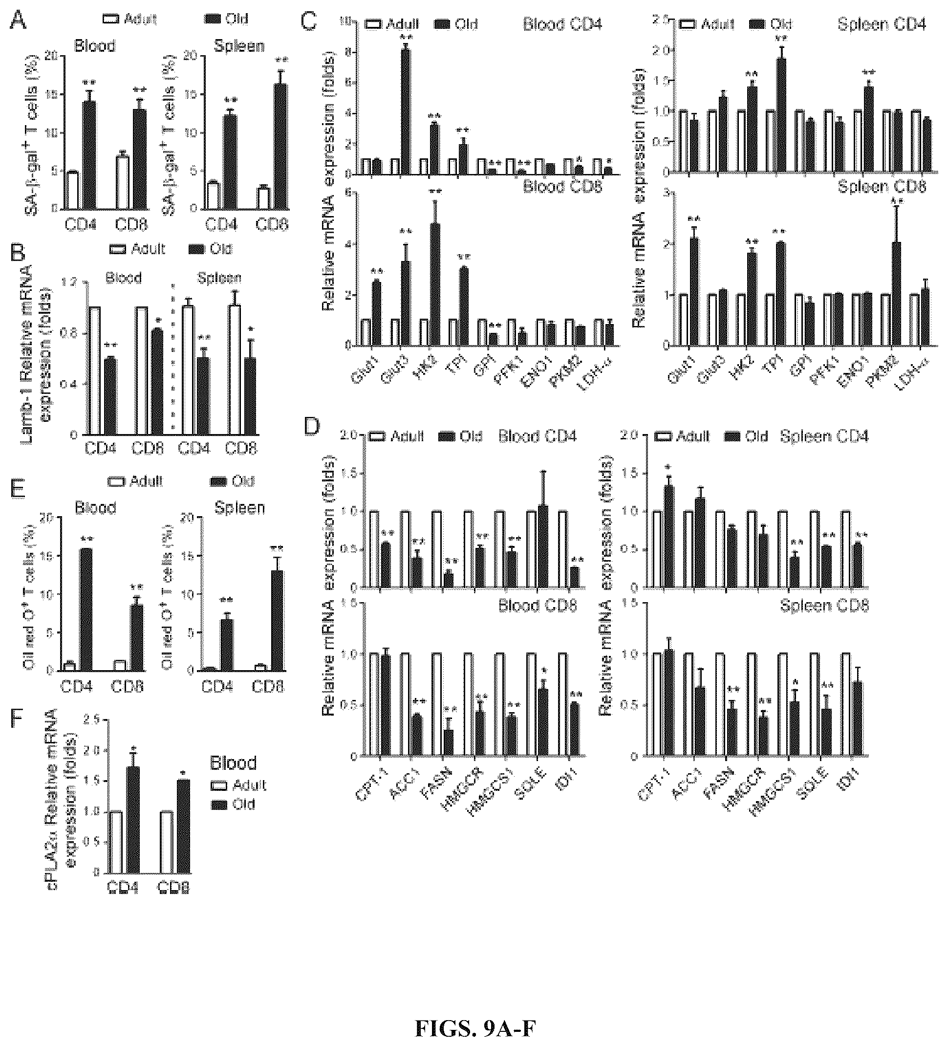 Patent US12590309 Figure 9 – Reprogramming of lipid metabolism to inhibit T cell senescence and enhance tumor immunotherapy