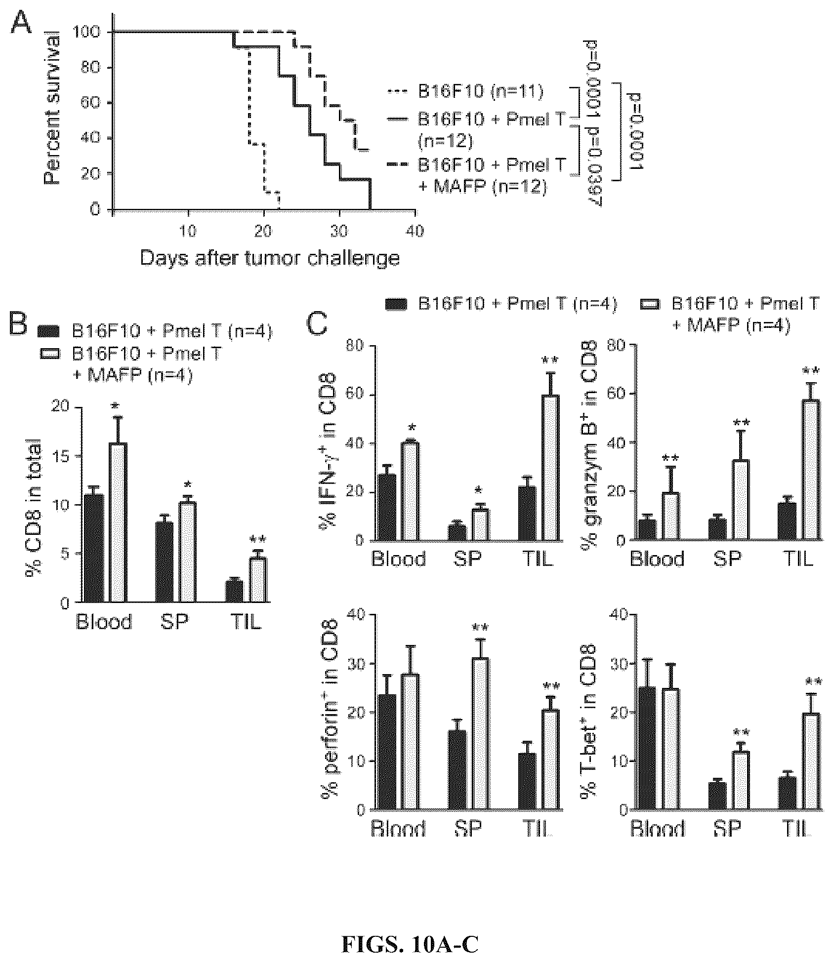 Patent US12590309 Figure 10 – Reprogramming of lipid metabolism to inhibit T cell senescence and enhance tumor immunotherapy