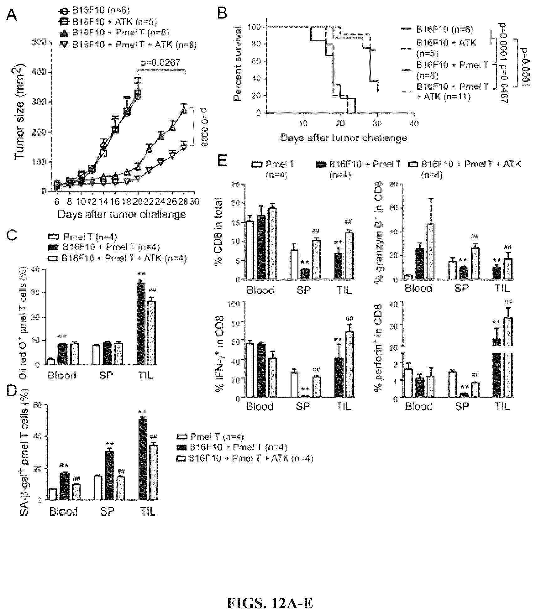 Patent US12590309 Figure 12 – Reprogramming of lipid metabolism to inhibit T cell senescence and enhance tumor immunotherapy