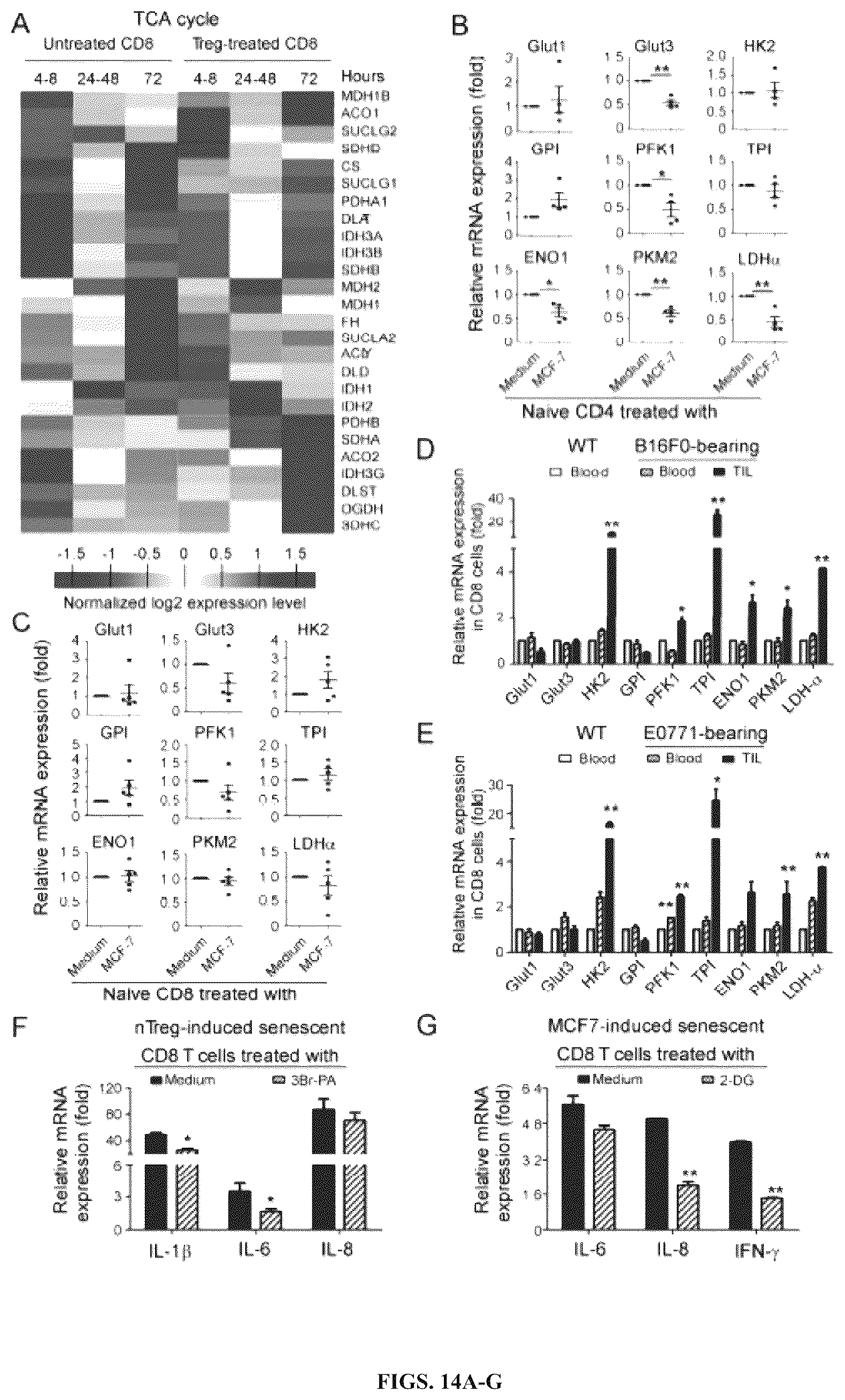 Patent US12590309 Figure 14 – Reprogramming of lipid metabolism to inhibit T cell senescence and enhance tumor immunotherapy