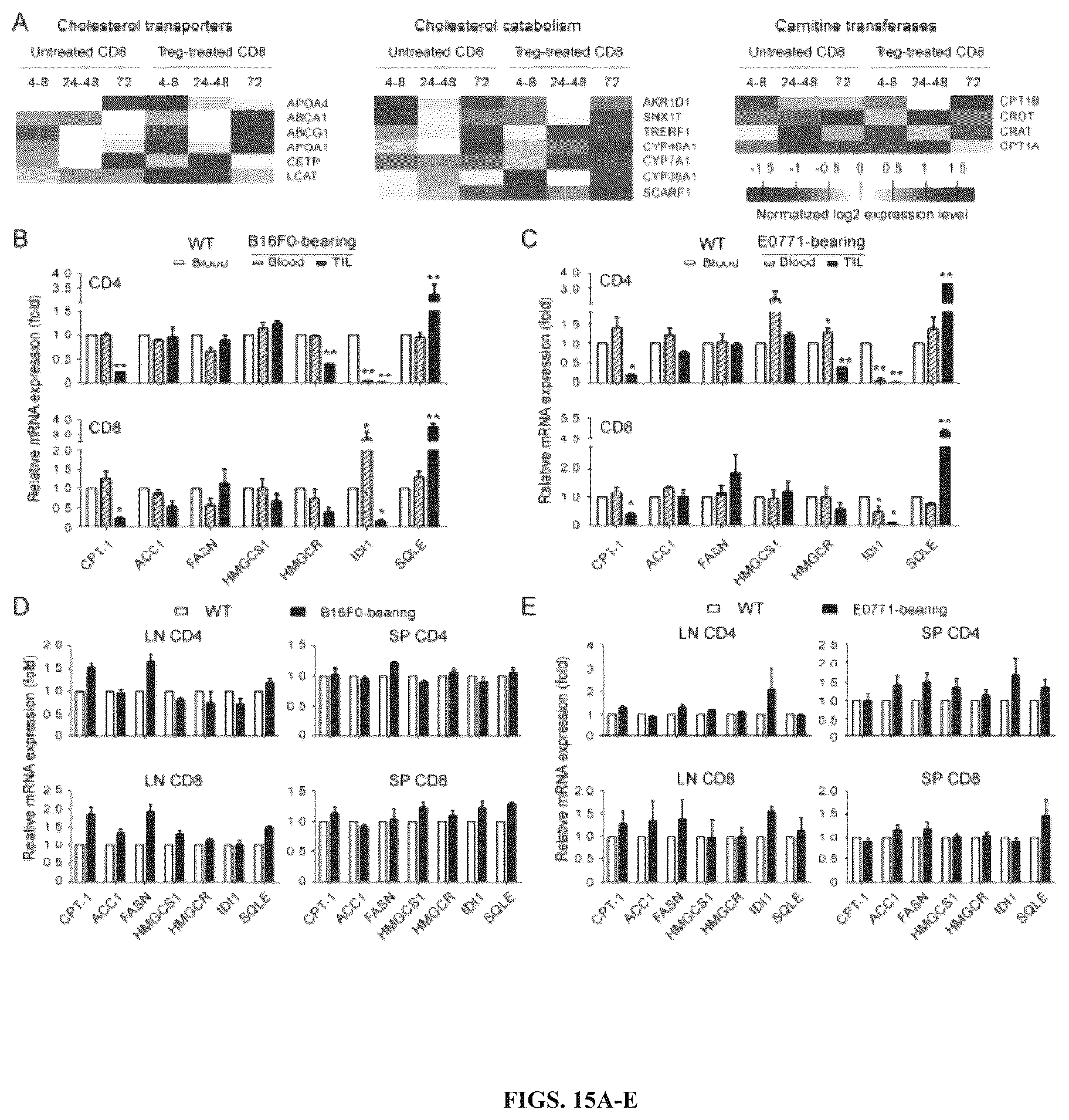 Patent US12590309 Figure 15 – Reprogramming of lipid metabolism to inhibit T cell senescence and enhance tumor immunotherapy