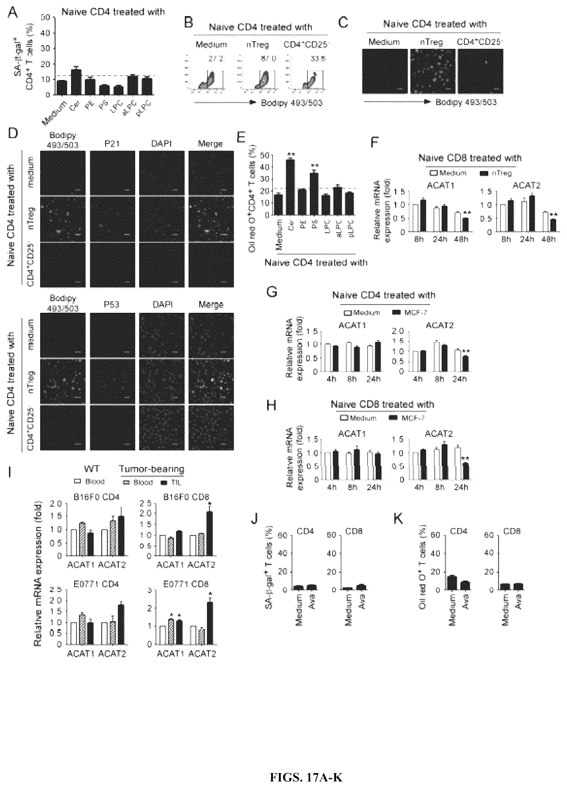 Patent US12590309 Figure 17 – Reprogramming of lipid metabolism to inhibit T cell senescence and enhance tumor immunotherapy