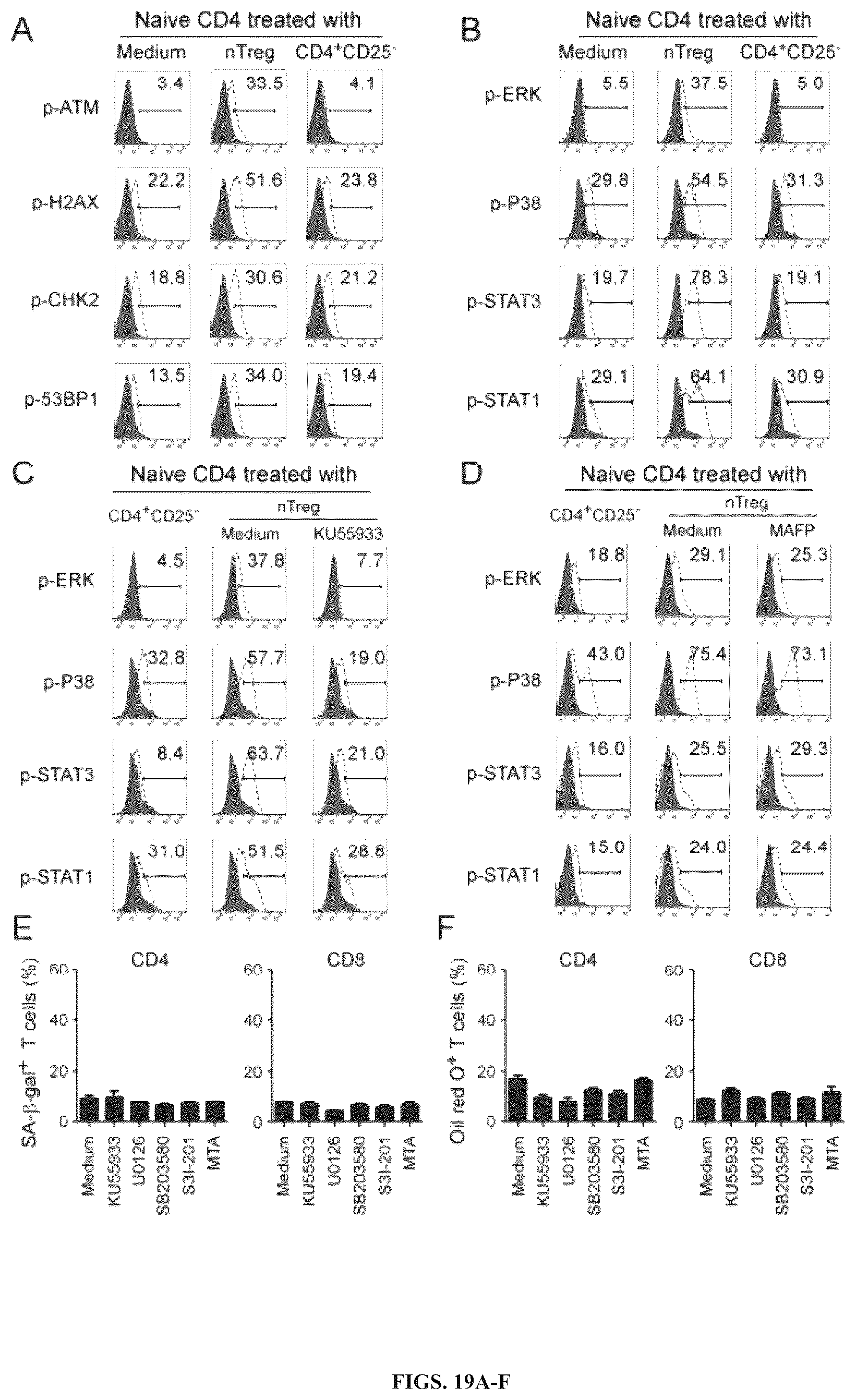 Patent US12590309 Figure 19 – Reprogramming of lipid metabolism to inhibit T cell senescence and enhance tumor immunotherapy