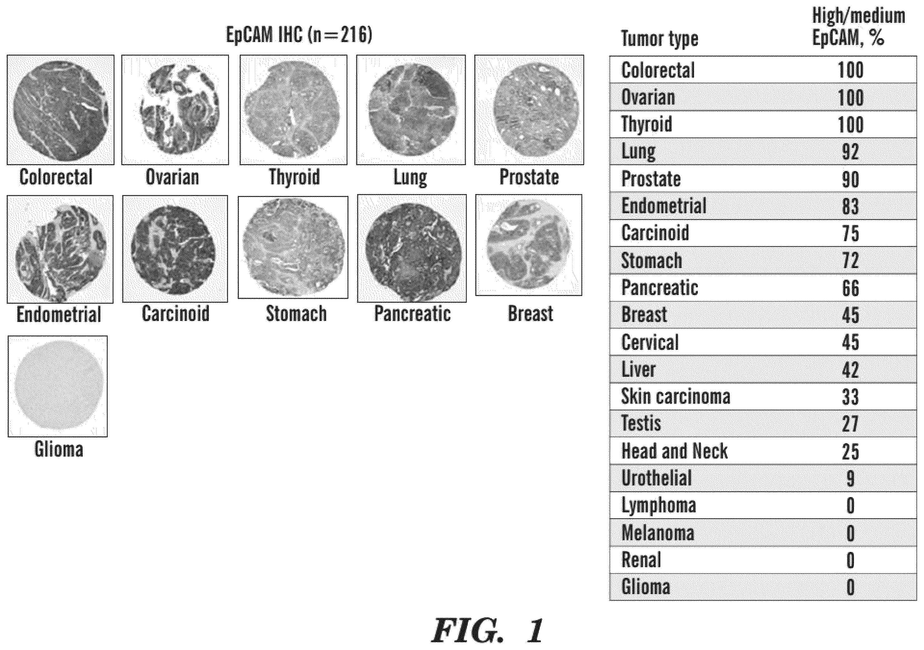 Patent US12590311 Figure 1 – Methods and compositions for the treatment of cancer