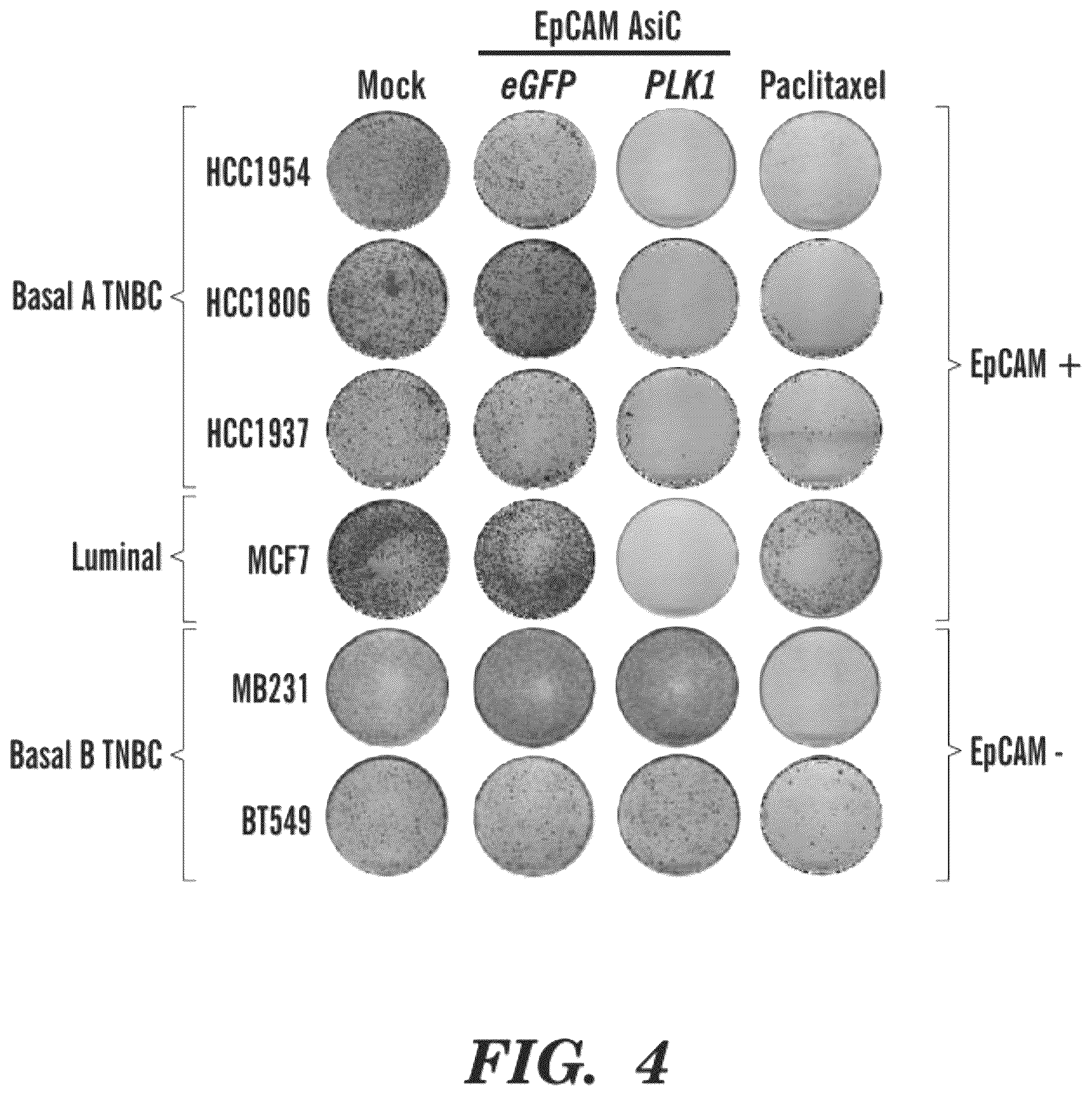 Patent US12590311 Figure 4 – Methods and compositions for the treatment of cancer