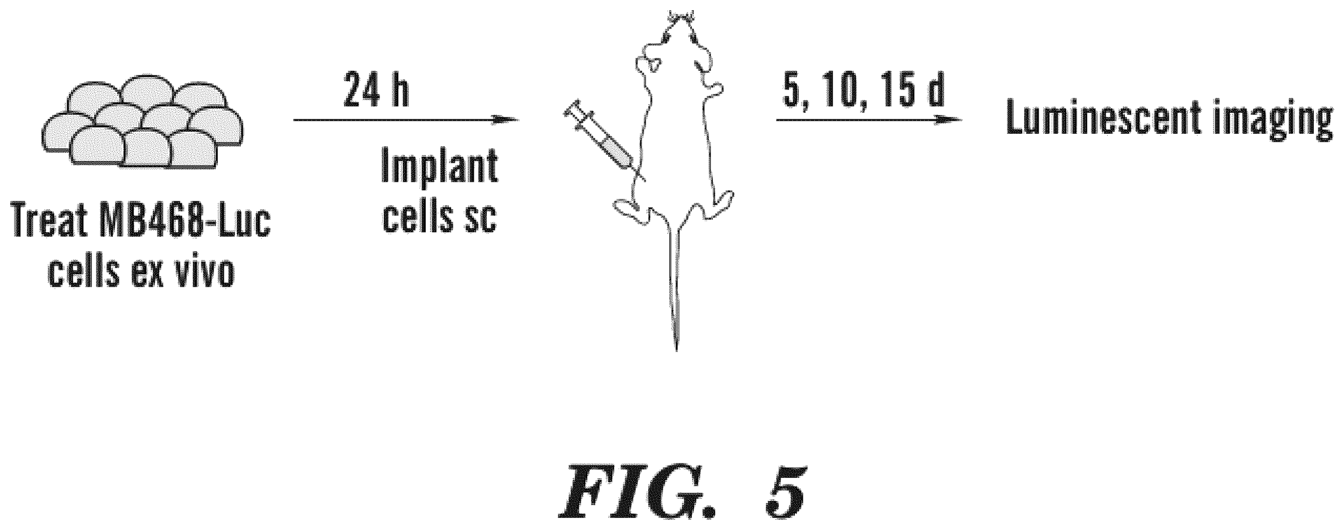 Patent US12590311 Figure 5 – Methods and compositions for the treatment of cancer