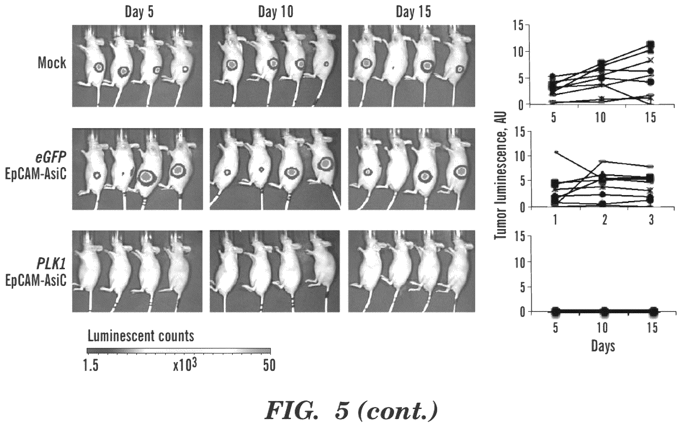 Patent US12590311 Figure 6 – Methods and compositions for the treatment of cancer