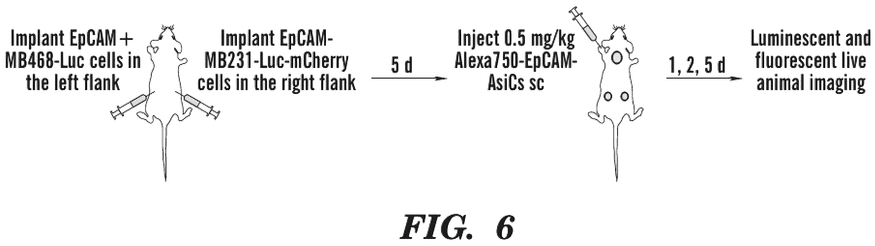 Patent US12590311 Figure 7 – Methods and compositions for the treatment of cancer