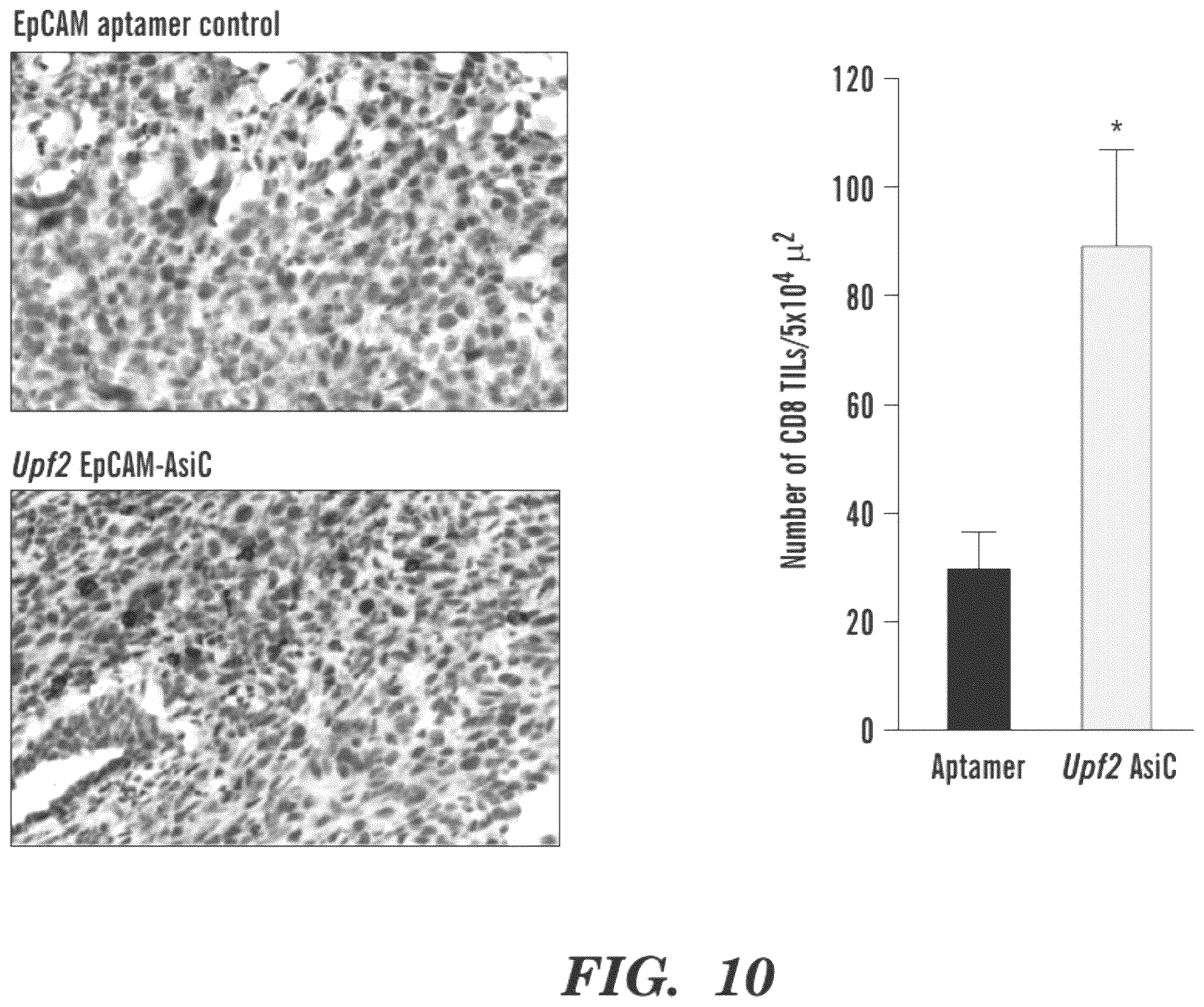 Patent US12590311 Figure 15 – Methods and compositions for the treatment of cancer