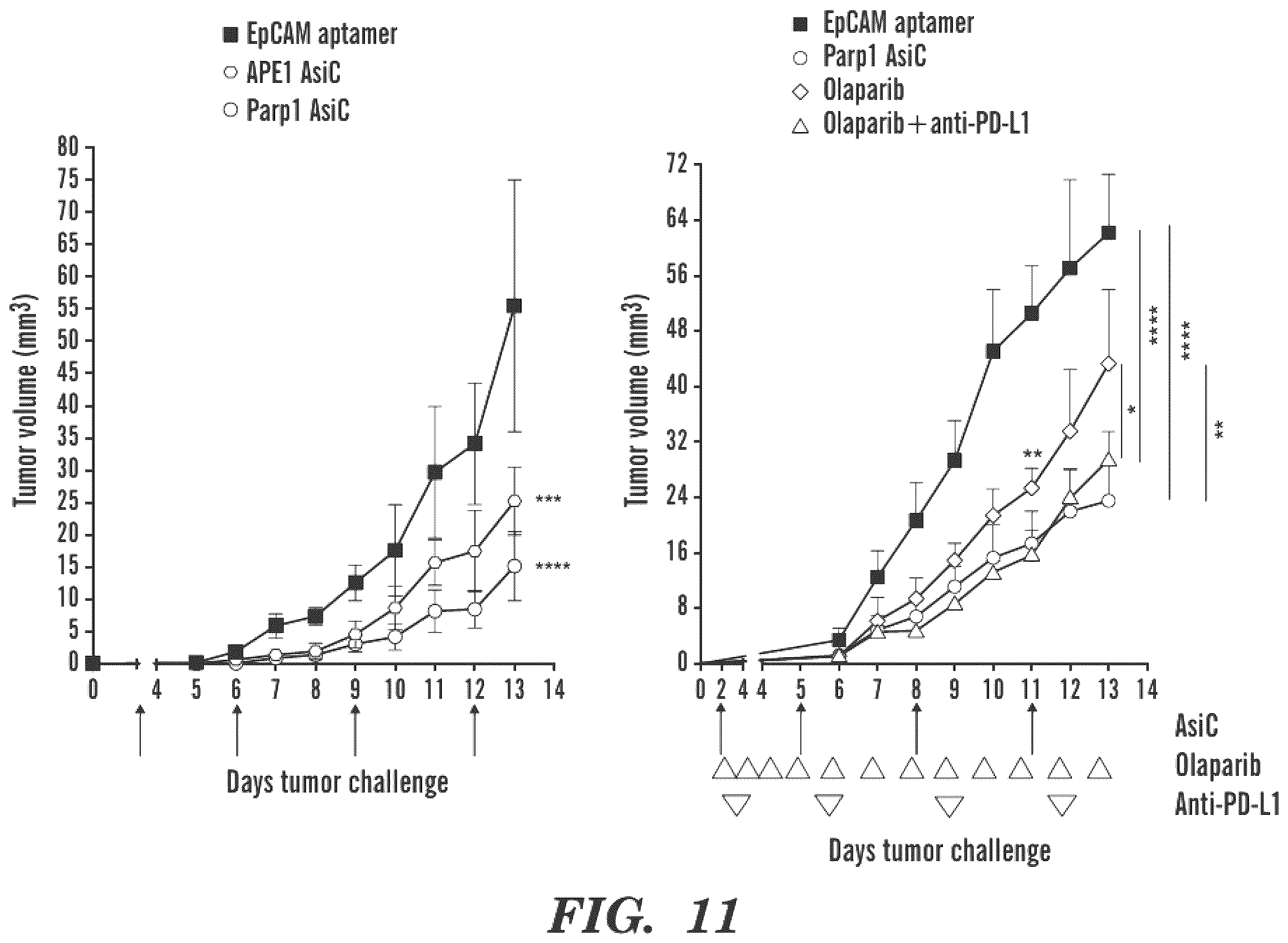 Patent US12590311 Figure 16 – Methods and compositions for the treatment of cancer