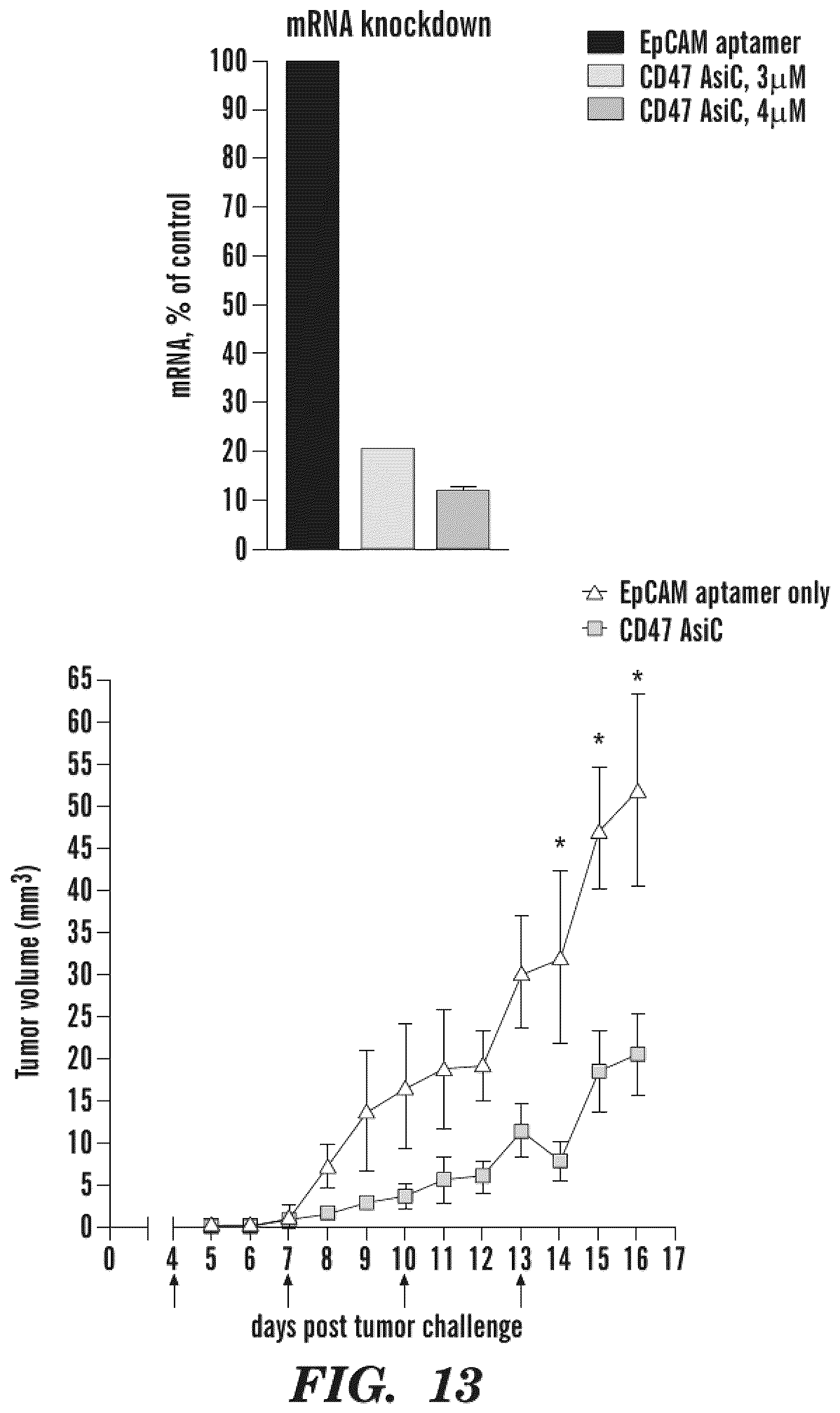 Patent US12590311 Figure 20 – Methods and compositions for the treatment of cancer