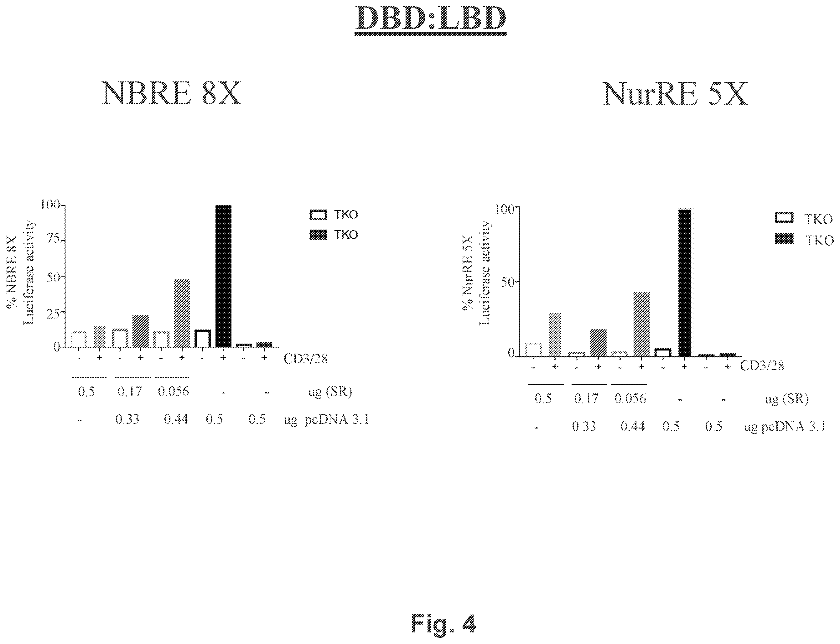 Patent US12590312 Figure 4 – NR4A super-repressors and methods of use thereof