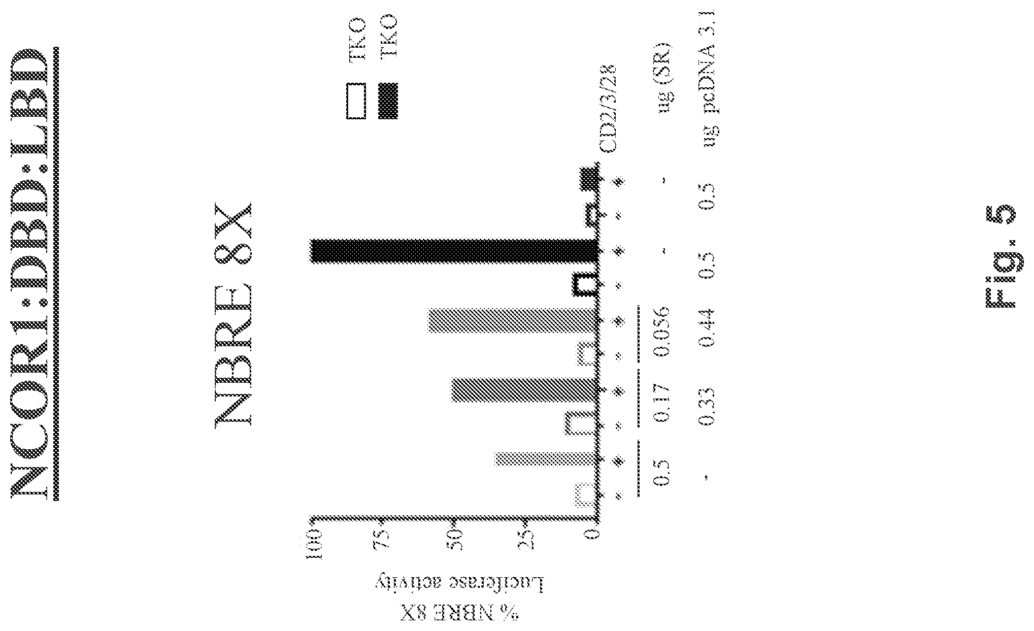Patent US12590312 Figure 5 – NR4A super-repressors and methods of use thereof