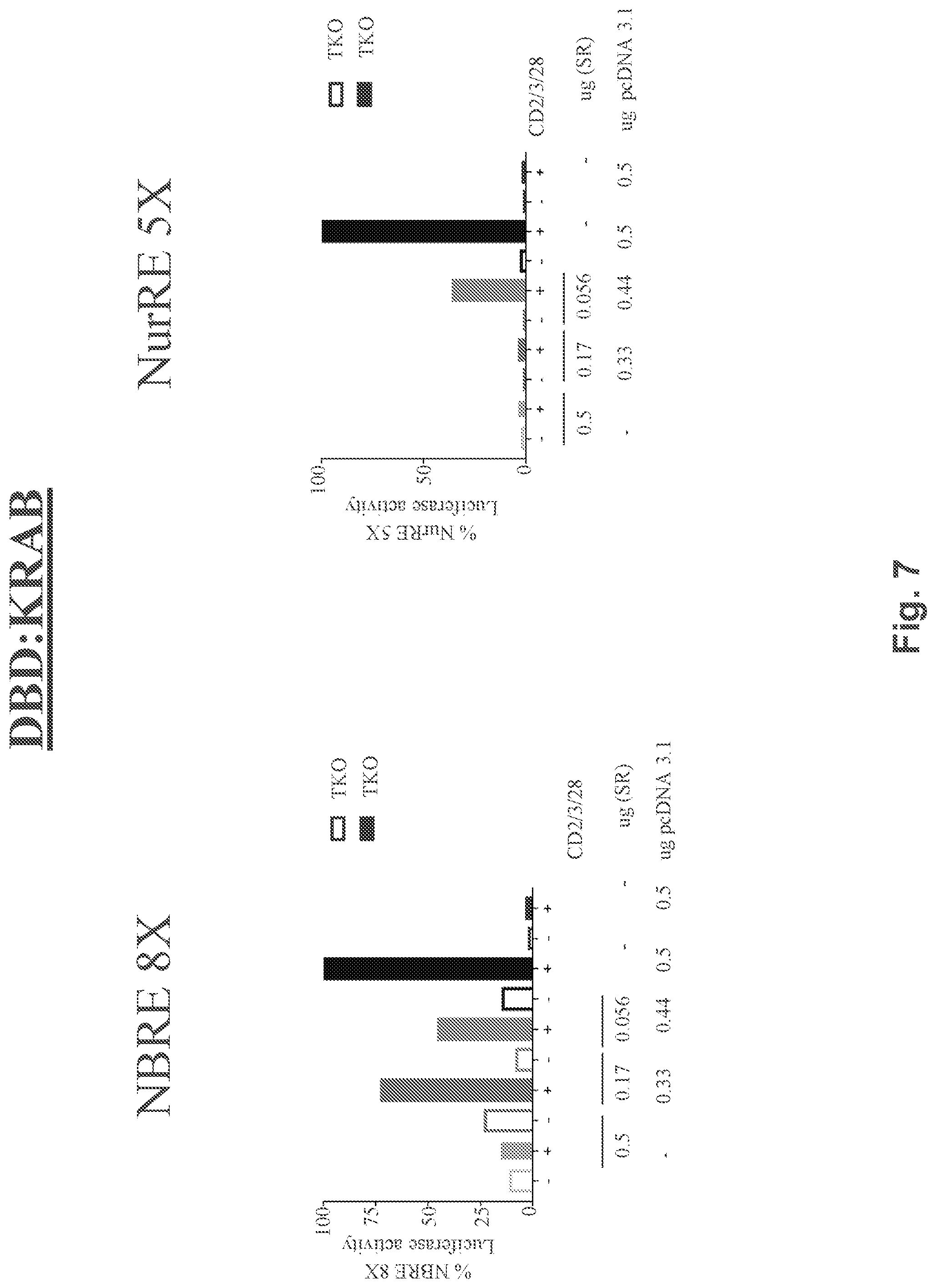 Patent US12590312 Figure 7 – NR4A super-repressors and methods of use thereof