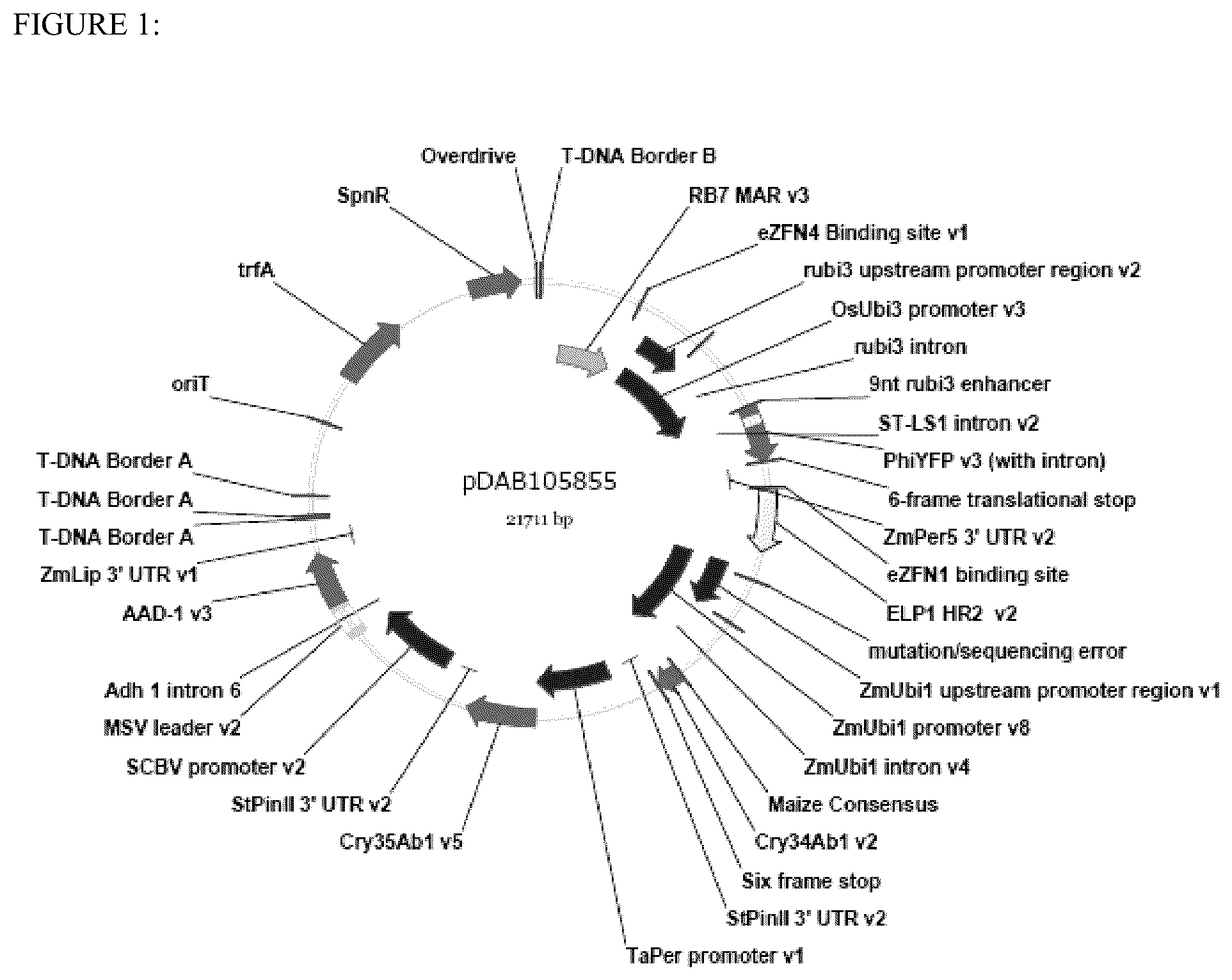 Patent US12590313 Figure 1 – Methodologies and compositions for creating targeted recombination and breaking linkage between traits