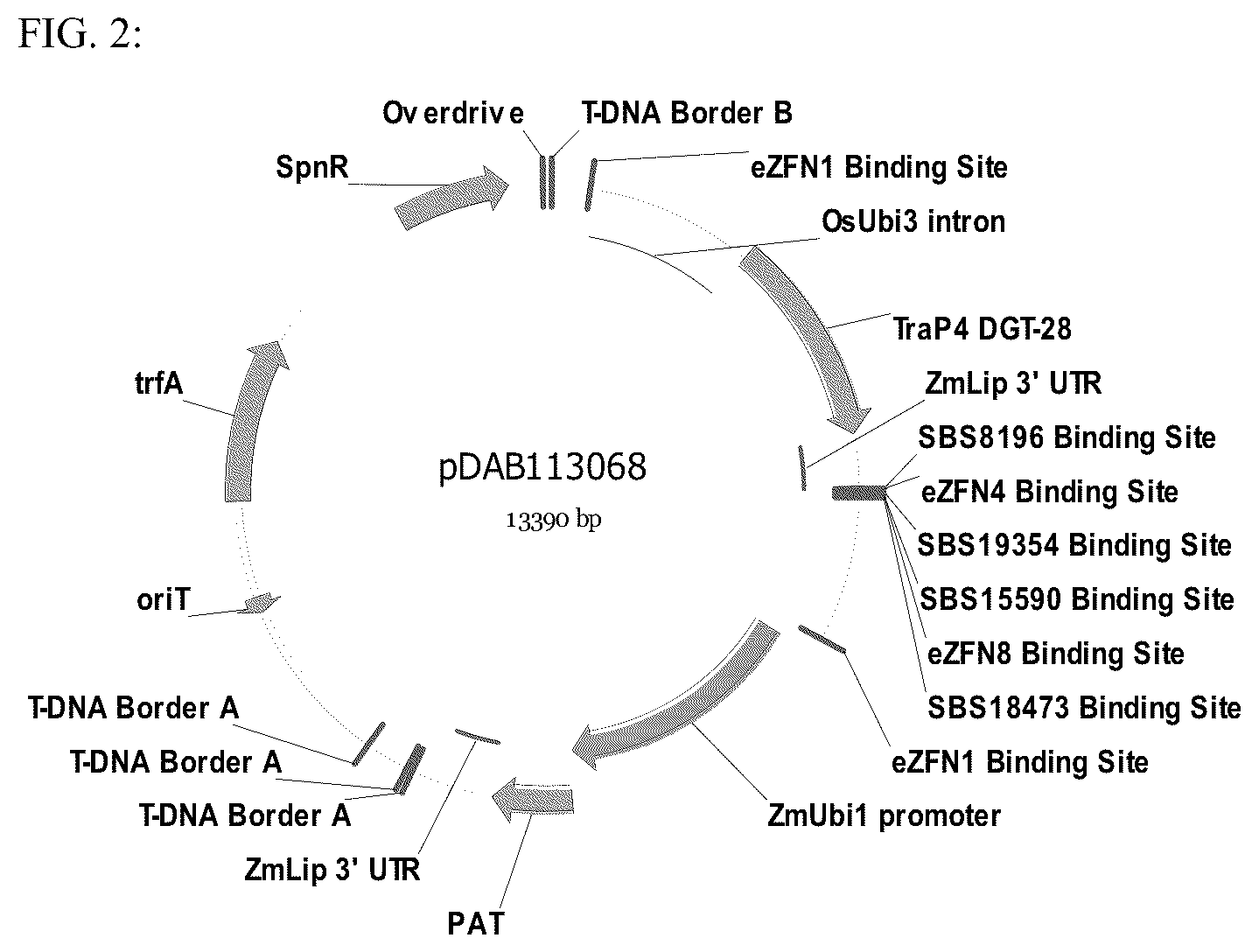 Patent US12590313 Figure 2 – Methodologies and compositions for creating targeted recombination and breaking linkage between traits
