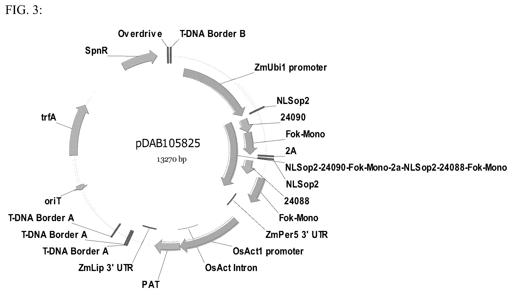 Patent US12590313 Figure 3 – Methodologies and compositions for creating targeted recombination and breaking linkage between traits