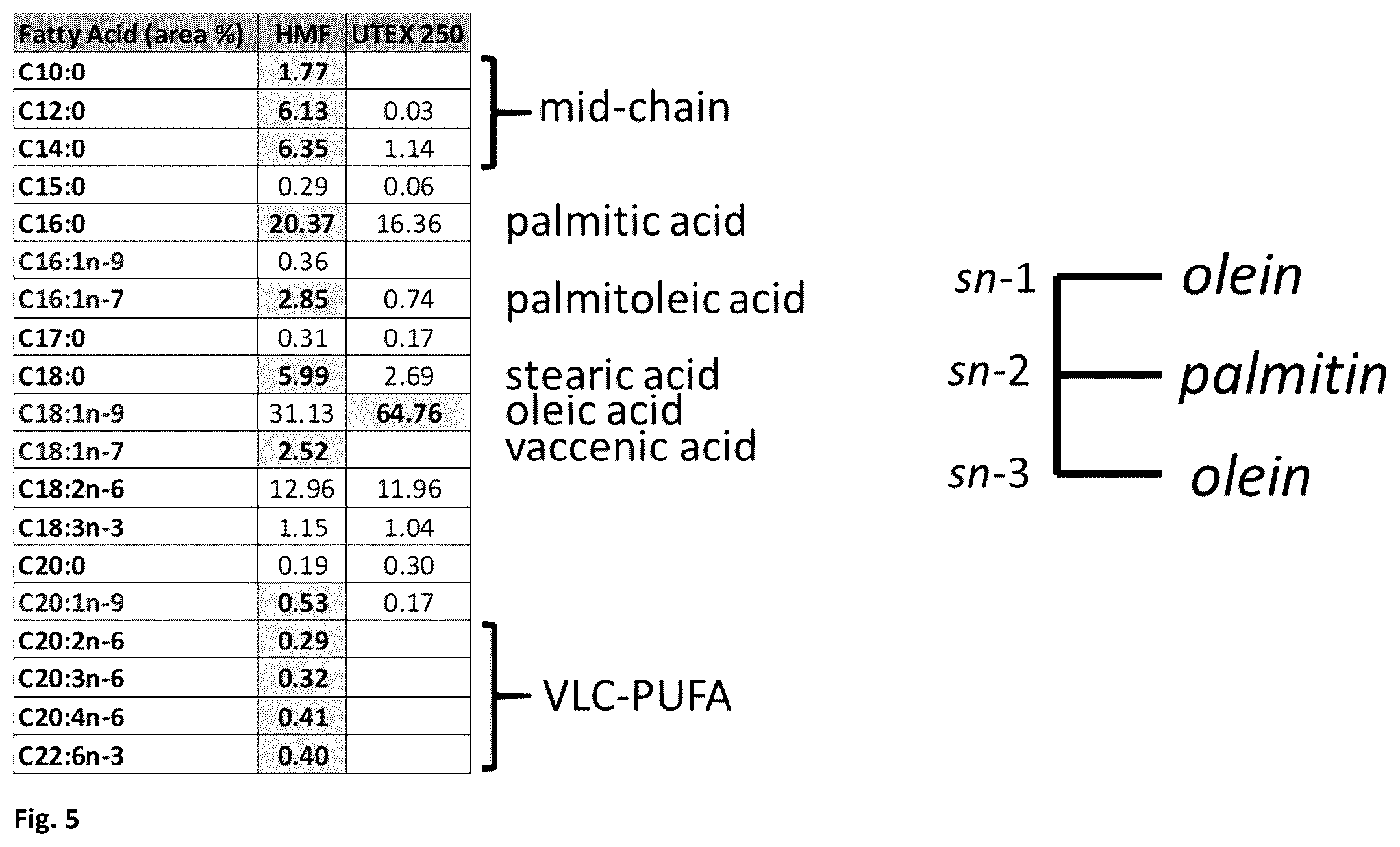 Patent US12590314 Figure 3 – Expressing multiple genes from a single transcript in algae and plants