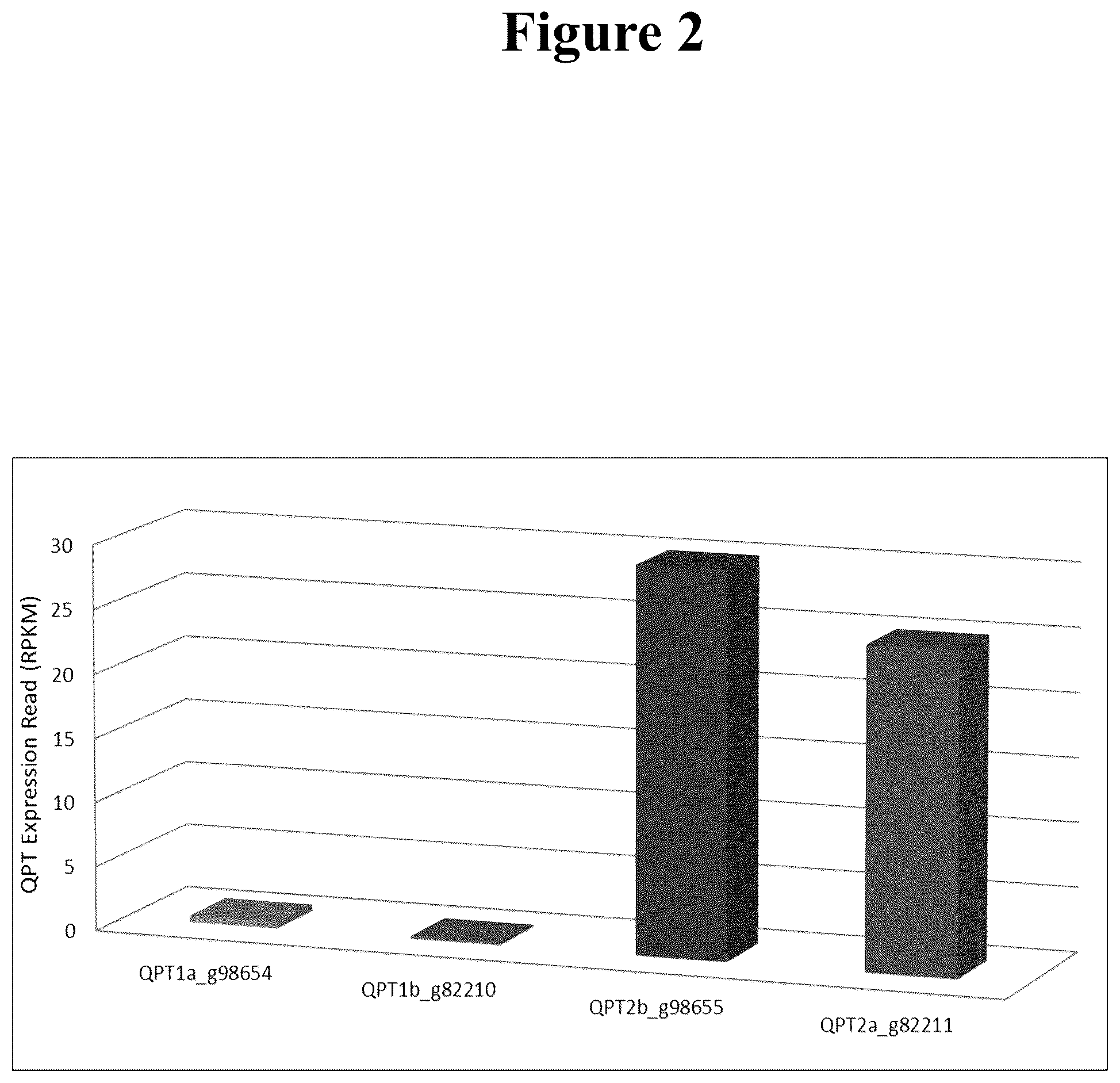 Patent US12590315 Figure 2 – Compositions and methods based on QPT engineering for producing tobacco plants and products having altered alkaloid levels