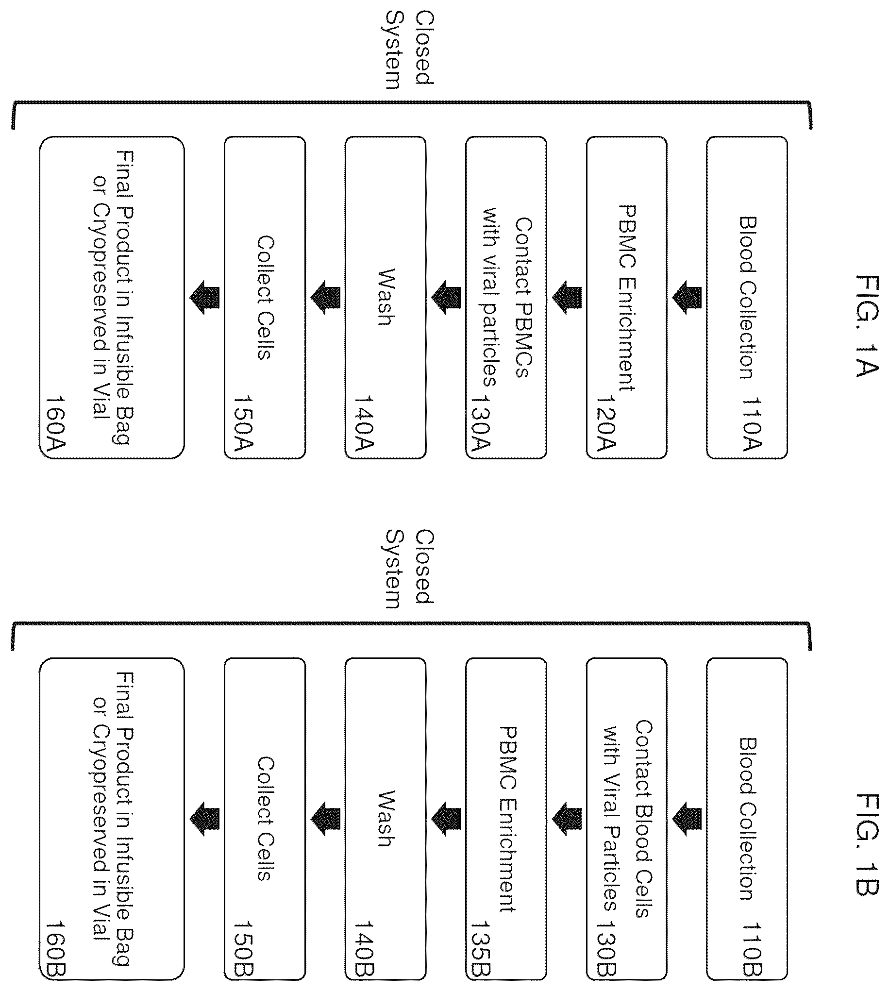 Patent US12590321 Figure 1 – Methods and compositions for genetically modifying and expanding lymphocytes and regulating the activity thereof