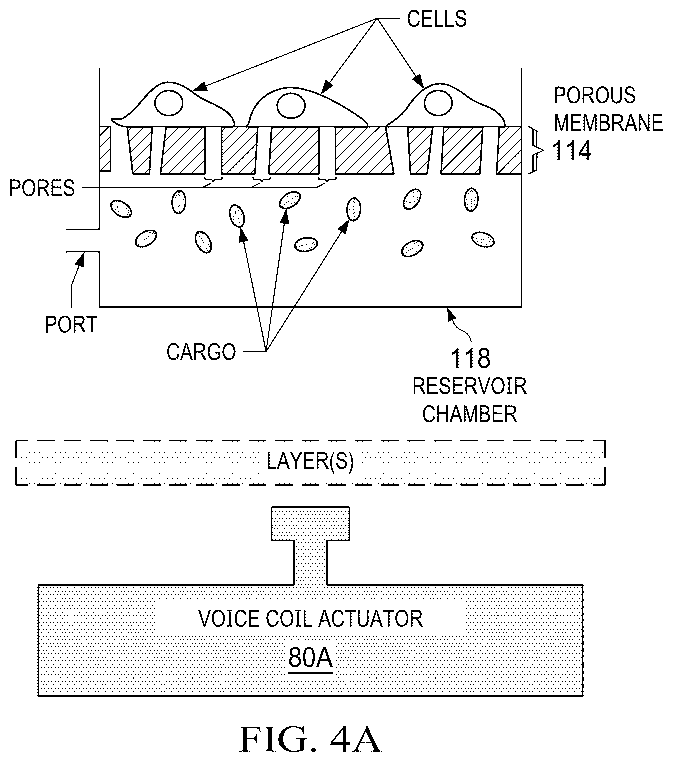 Patent US12590322 Figure 7 – Devices and methods for mitochondria replacement and for generating cellular therapeutics