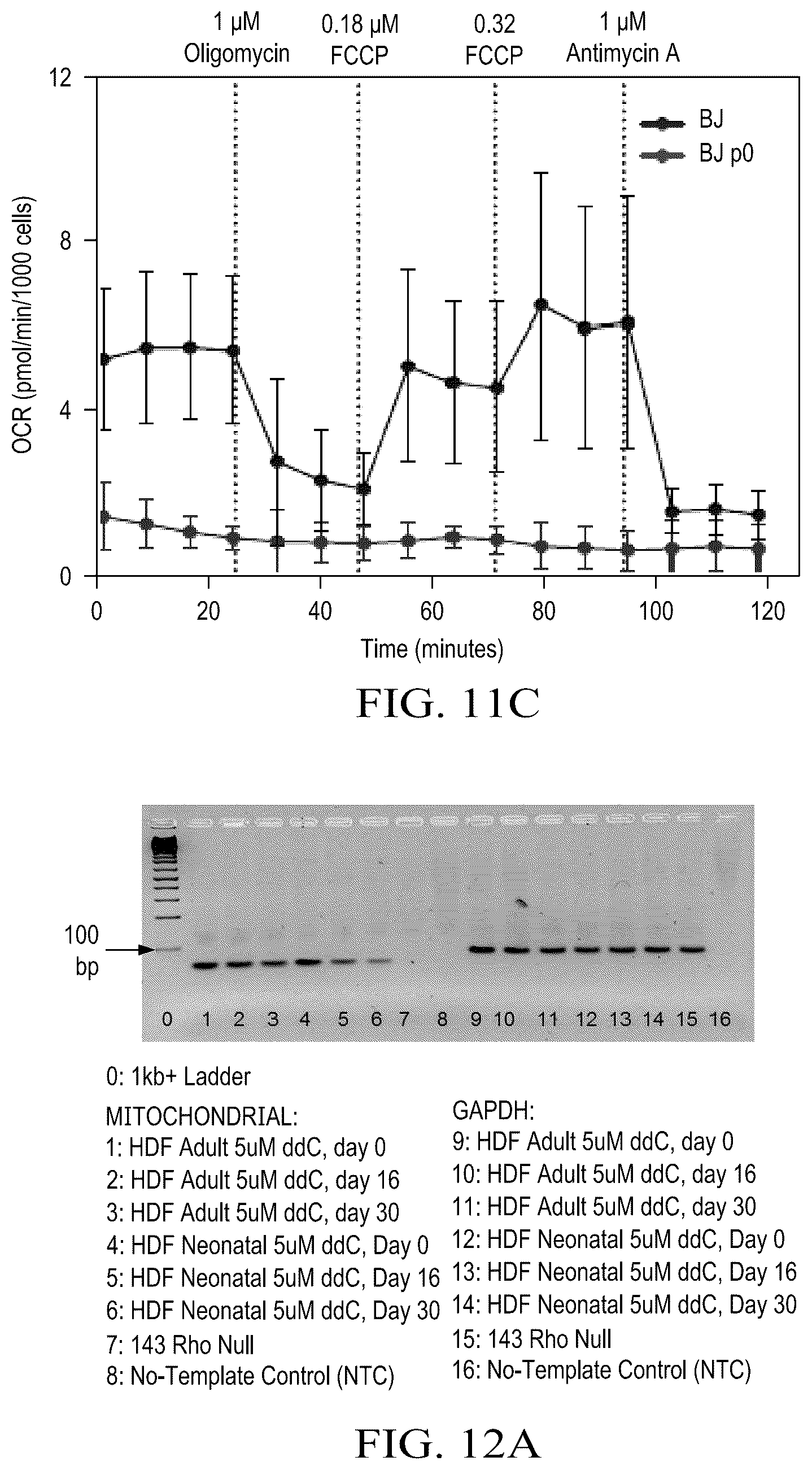 Patent US12590322 Figure 16 – Devices and methods for mitochondria replacement and for generating cellular therapeutics