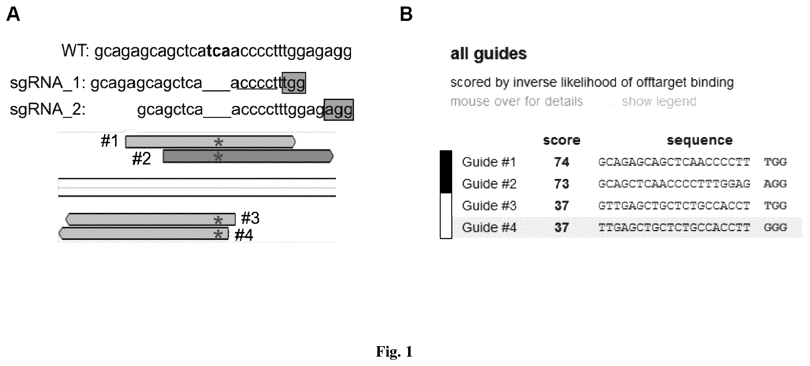 Patent US12590323 Figure 1 – Compositions for use in treating autosomal dominant BEST1-related retinopathies