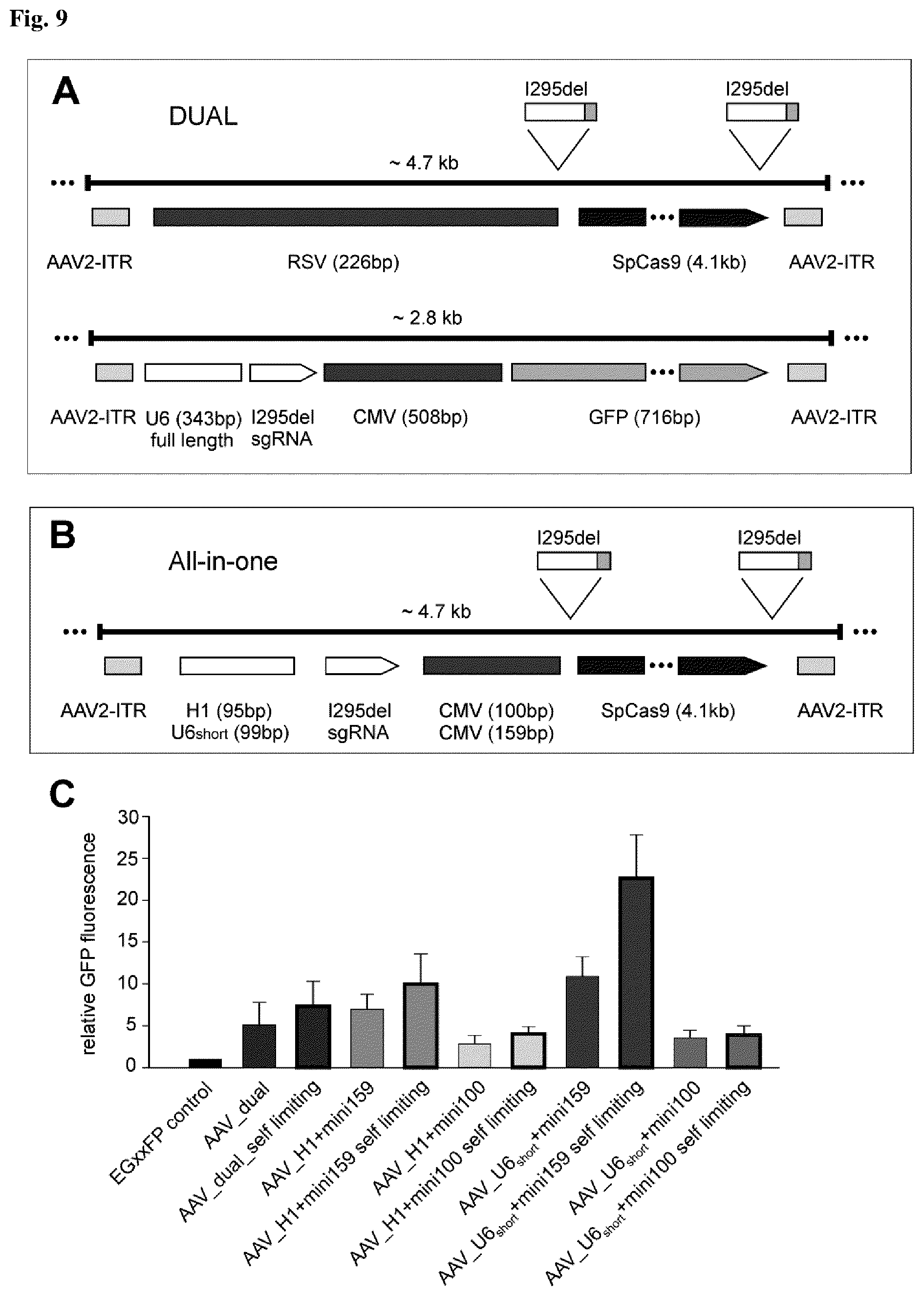 Patent US12590323 Figure 9 – Compositions for use in treating autosomal dominant BEST1-related retinopathies
