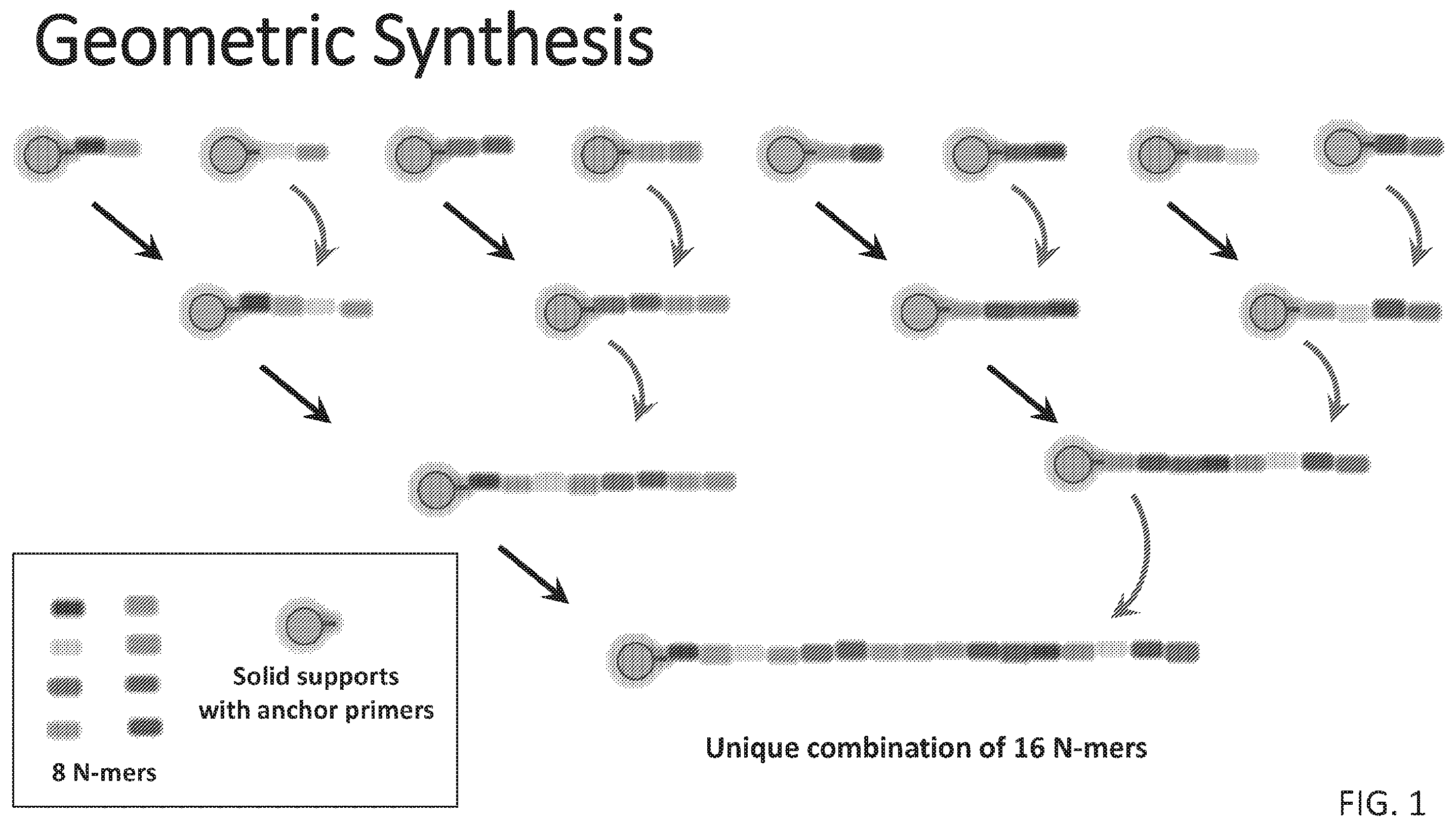 Patent US12590324 — Compositions and methods for template-free geometric enzymatic nucleic acid synthesis — Figure 1