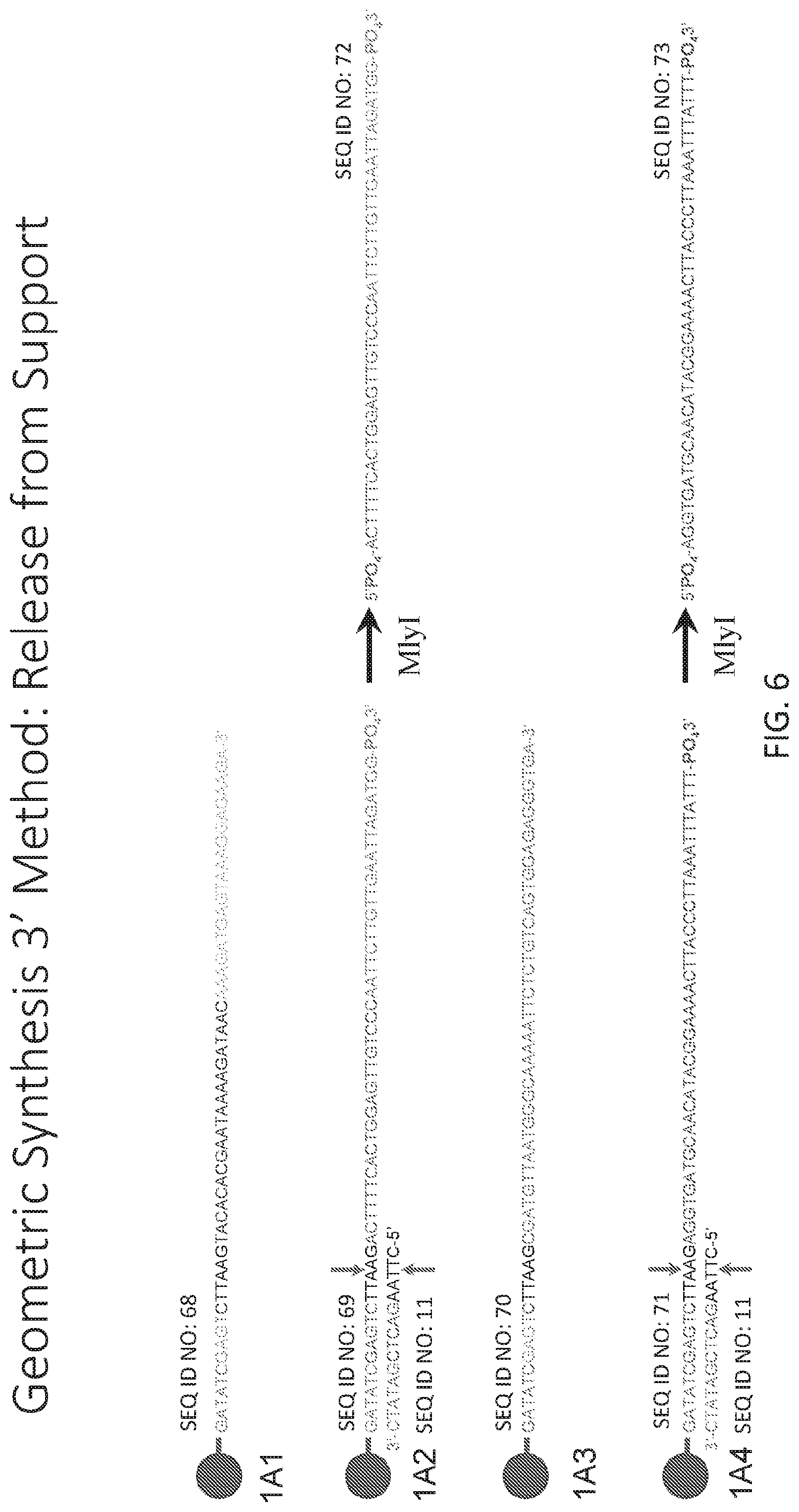 Patent US12590324 Figure 6 – Compositions and methods for template-free geometric enzymatic nucleic acid synthesis