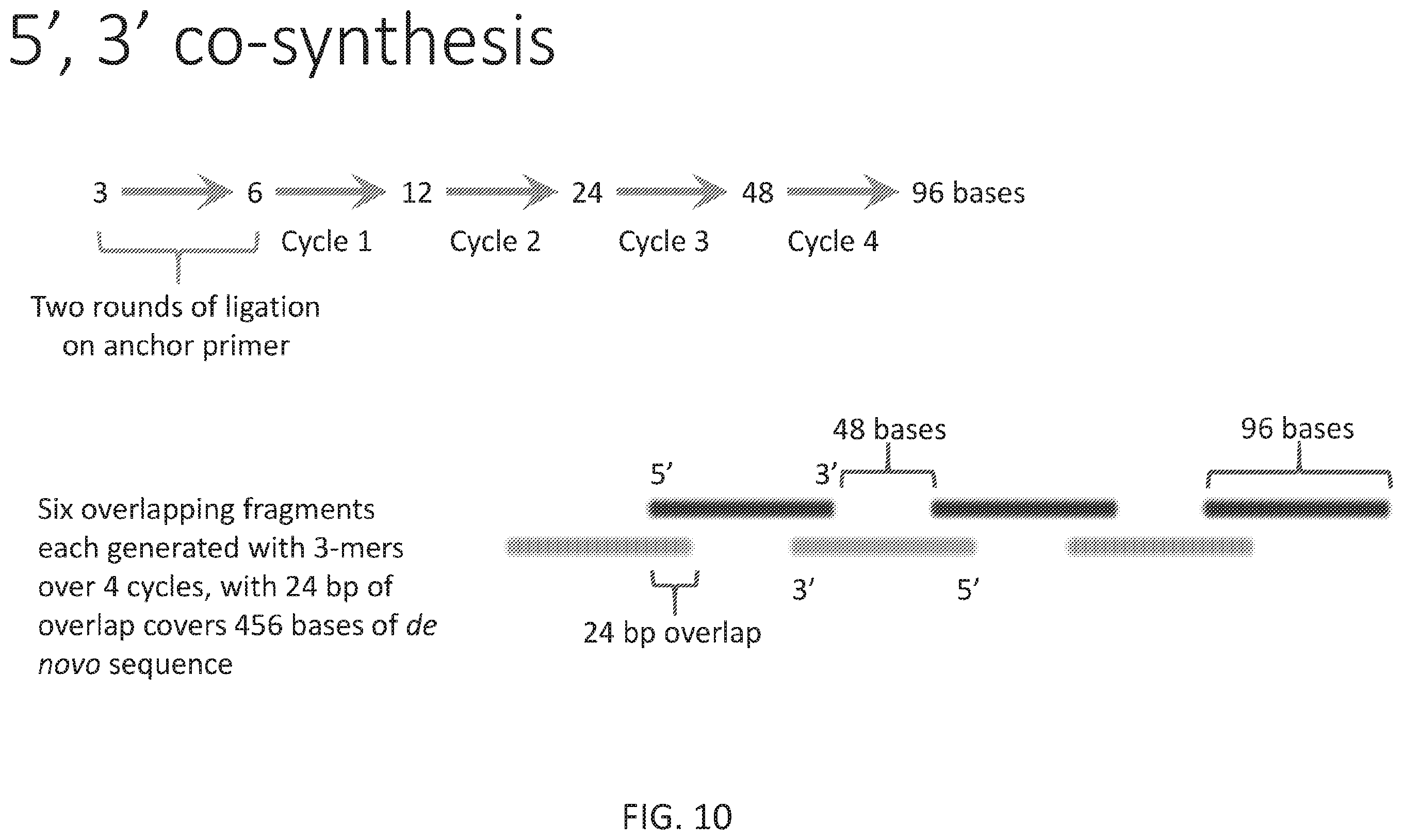 Patent US12590324 Figure 10 – Compositions and methods for template-free geometric enzymatic nucleic acid synthesis