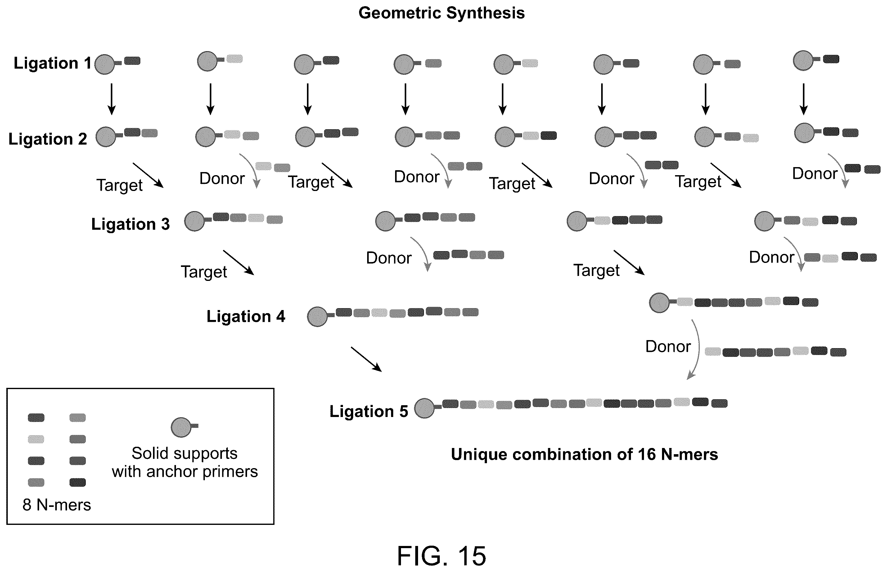 Patent US12590324 Figure 15 – Compositions and methods for template-free geometric enzymatic nucleic acid synthesis