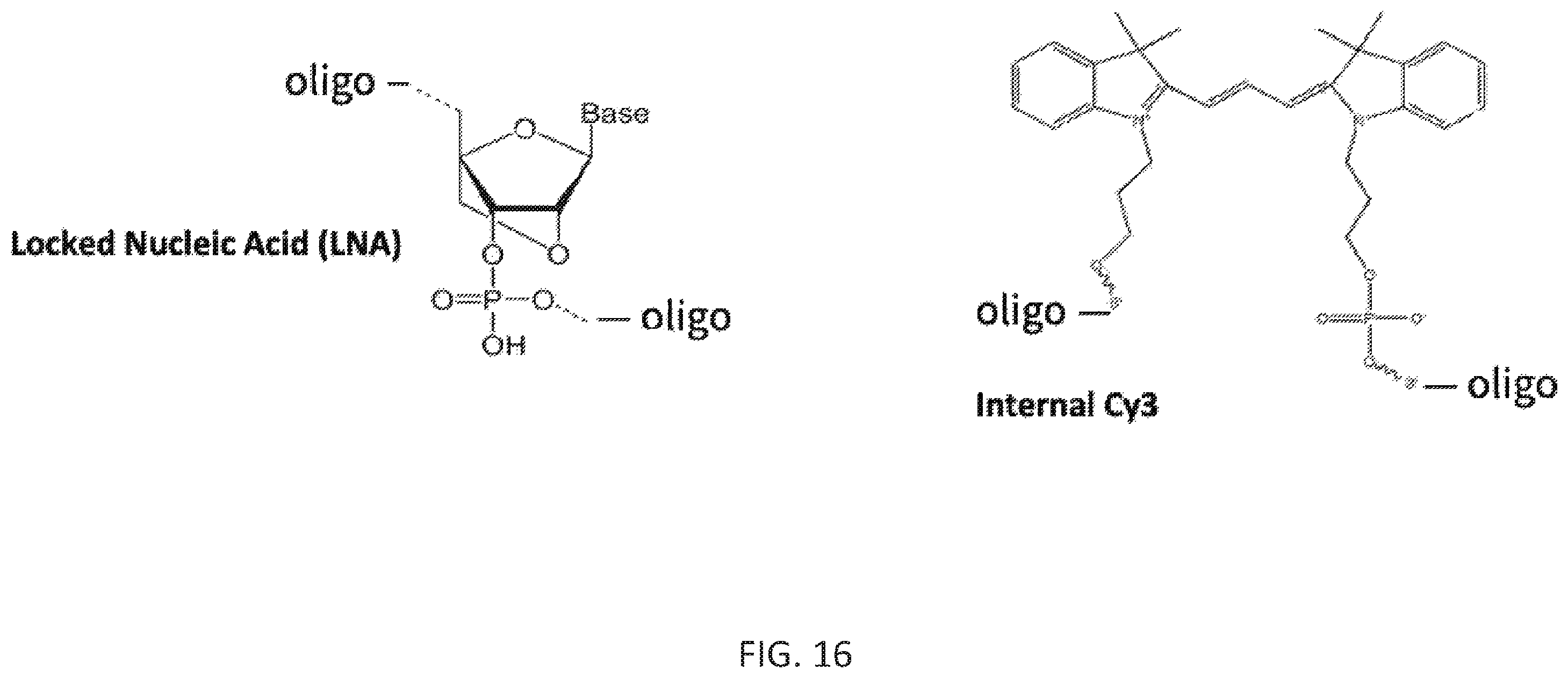 Patent US12590324 Figure 16 – Compositions and methods for template-free geometric enzymatic nucleic acid synthesis