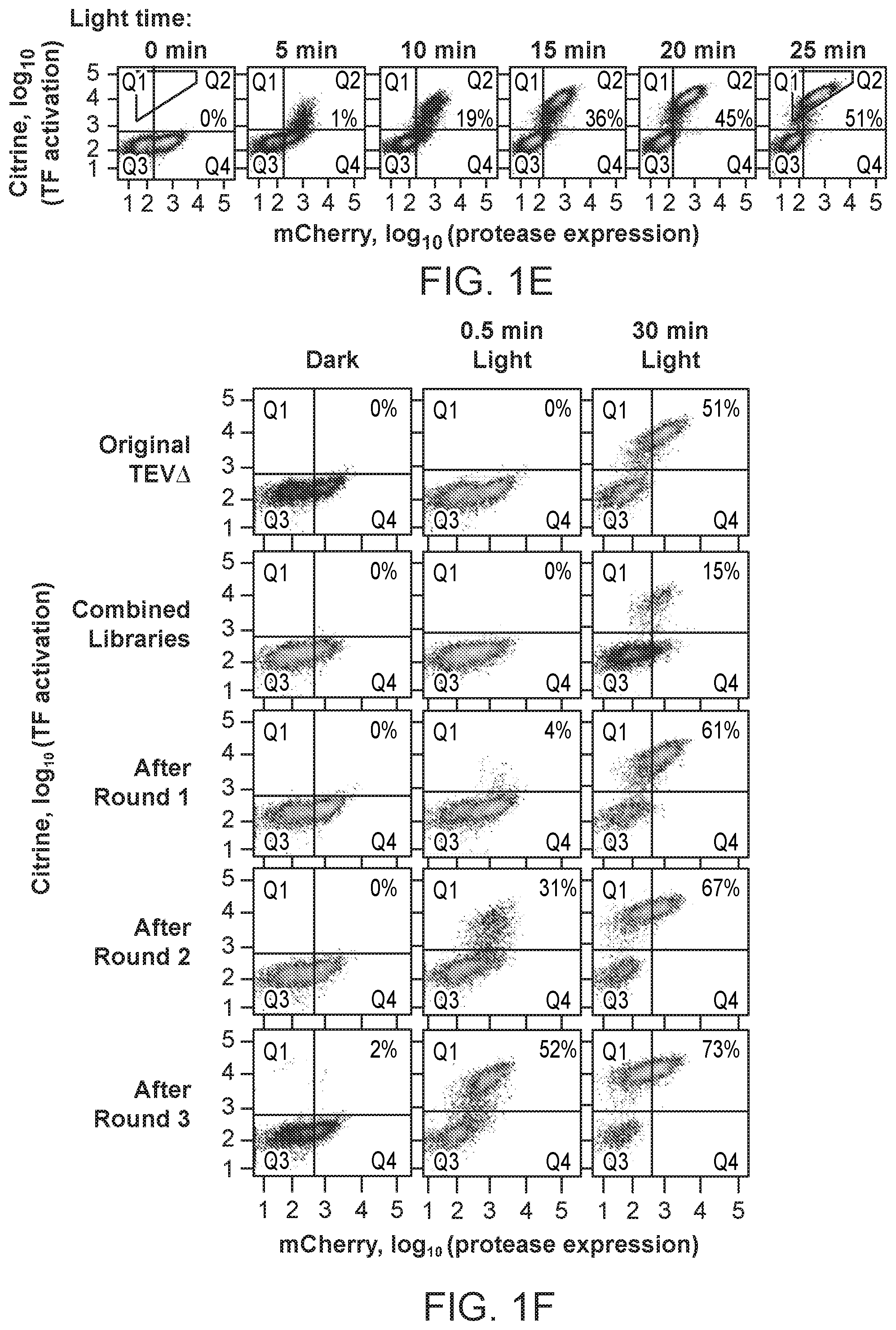 Patent US12590325 Figure 3 – Directed evolution for obtaining improved variants of TEV protease for biotechnological applications