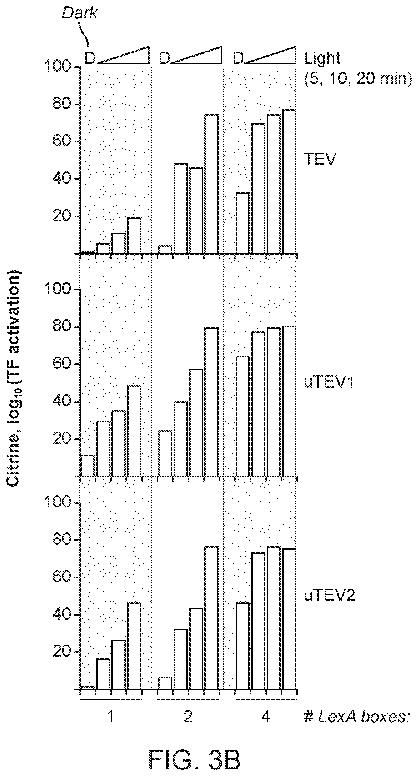 Patent US12590325 Figure 9 – Directed evolution for obtaining improved variants of TEV protease for biotechnological applications