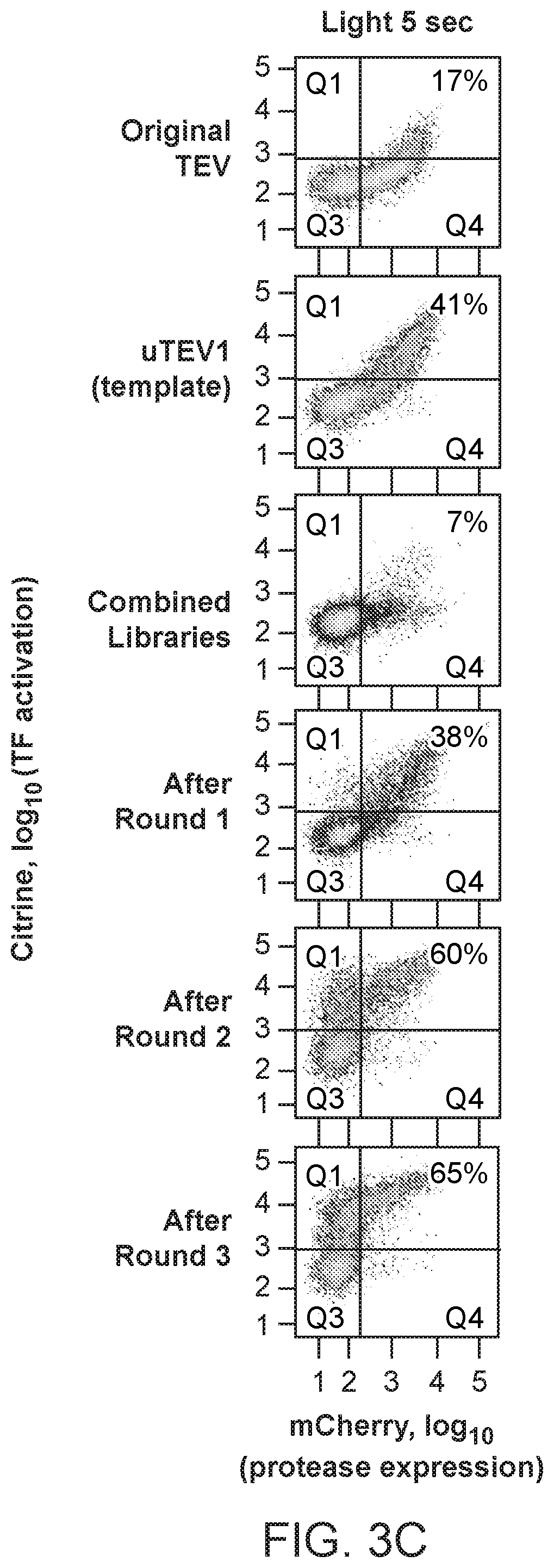Patent US12590325 Figure 10 – Directed evolution for obtaining improved variants of TEV protease for biotechnological applications