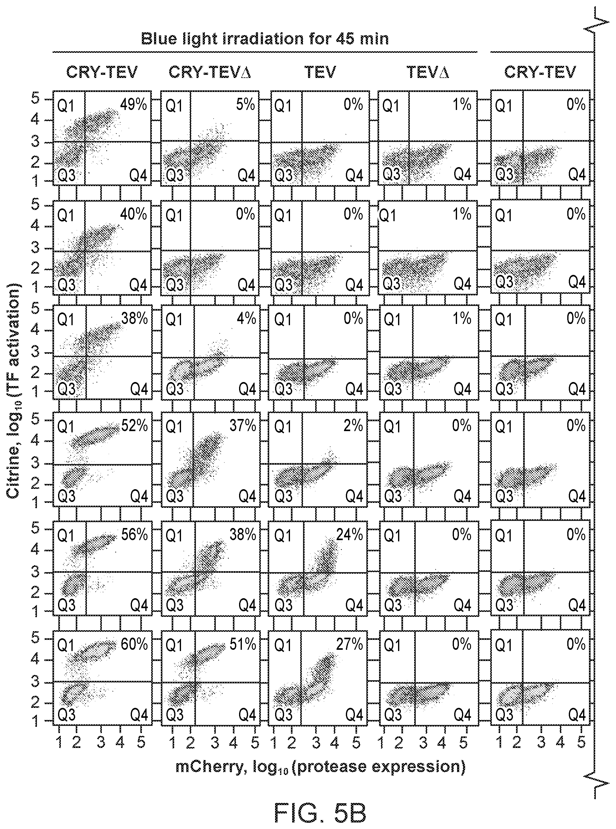 Patent US12590325 Figure 18 – Directed evolution for obtaining improved variants of TEV protease for biotechnological applications