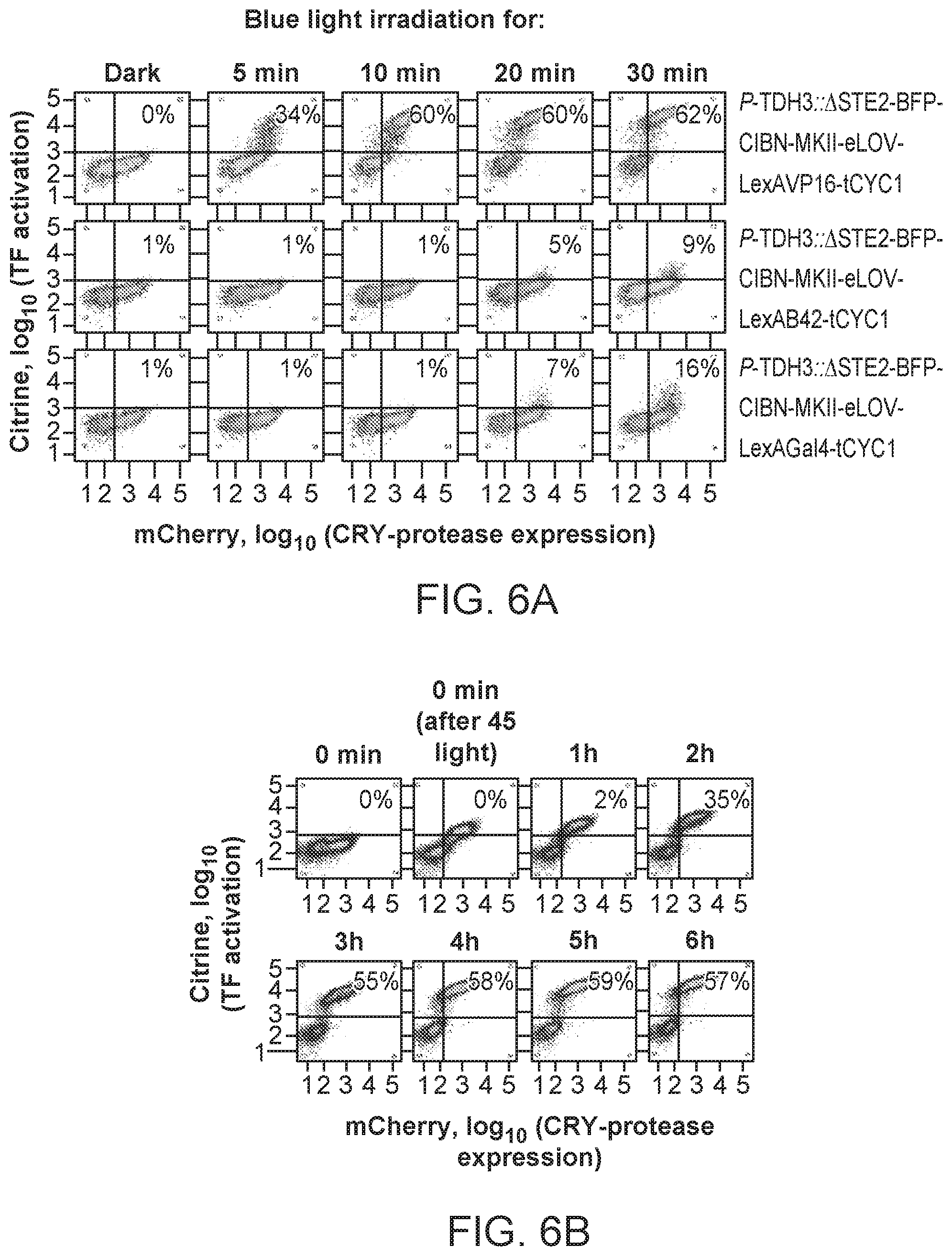 Patent US12590325 Figure 20 – Directed evolution for obtaining improved variants of TEV protease for biotechnological applications